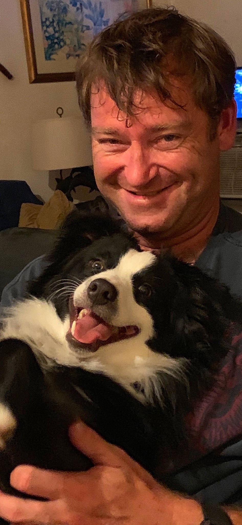 Cappy Turner is registered to the contest to win money with this photo: border_collie, canidae, carnivore, companion_dog, dog, dog_breed, mammal, nose, puppy_love, smile, snout, sporting_group