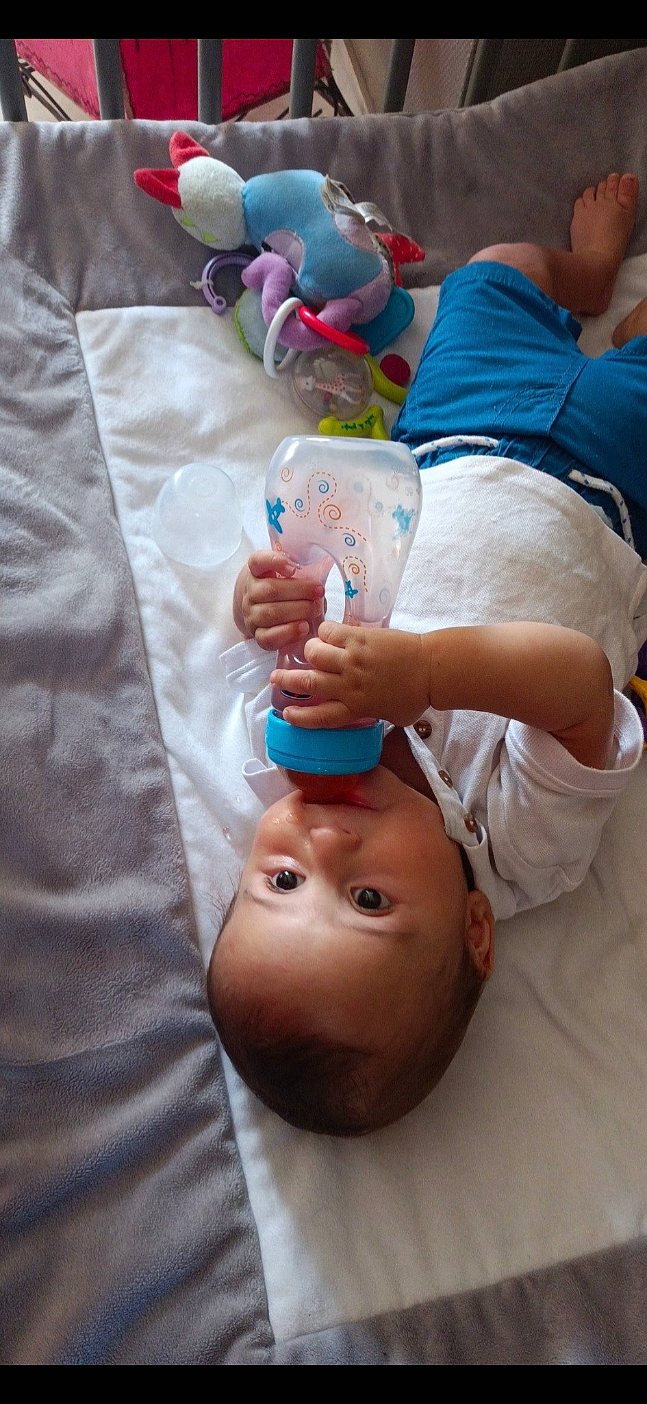 Attilio a rejoint le concours — aidez-le/la à gagner de superbes lots ! abdomen, arm, baby, chest, child, elbow, gesture, joint, knee, leg, nail, person, service, shorts, skin, t_shirt, textile, thigh, thumb, trunk