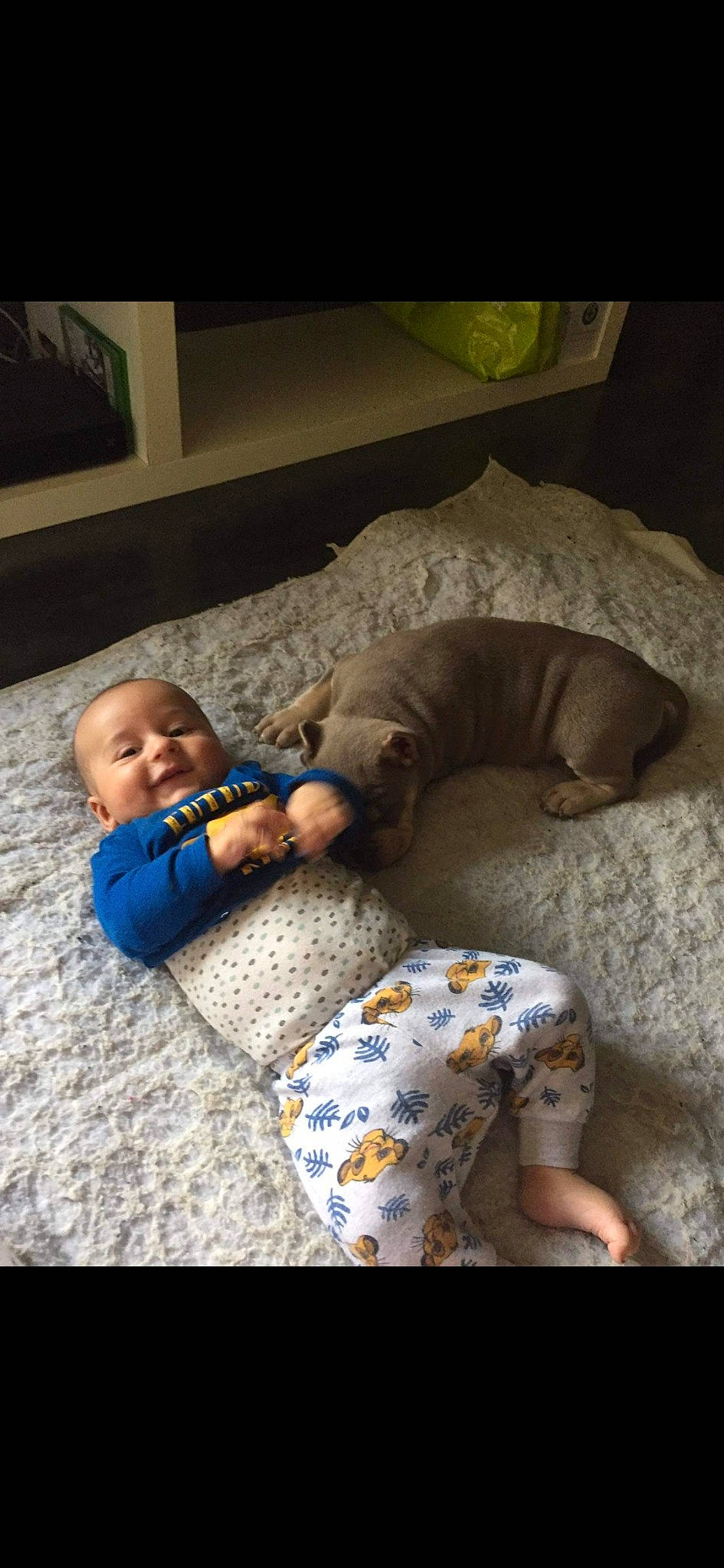 Attilio a rejoint le concours — aidez-le/la à gagner de superbes lots ! baby, baby_products, baby_toddler_clothing, bedtime, child, comfort, flooring, foot, fun, human_body, linens, mammal, nap, person, play, room, sitting, small_to_medium_sized_cats, textile, toddler