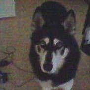 Nesson participe au concours pour gagner de l'argent avec cette photo :