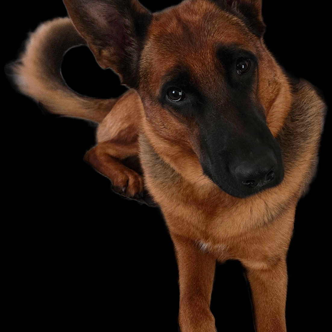 Copper