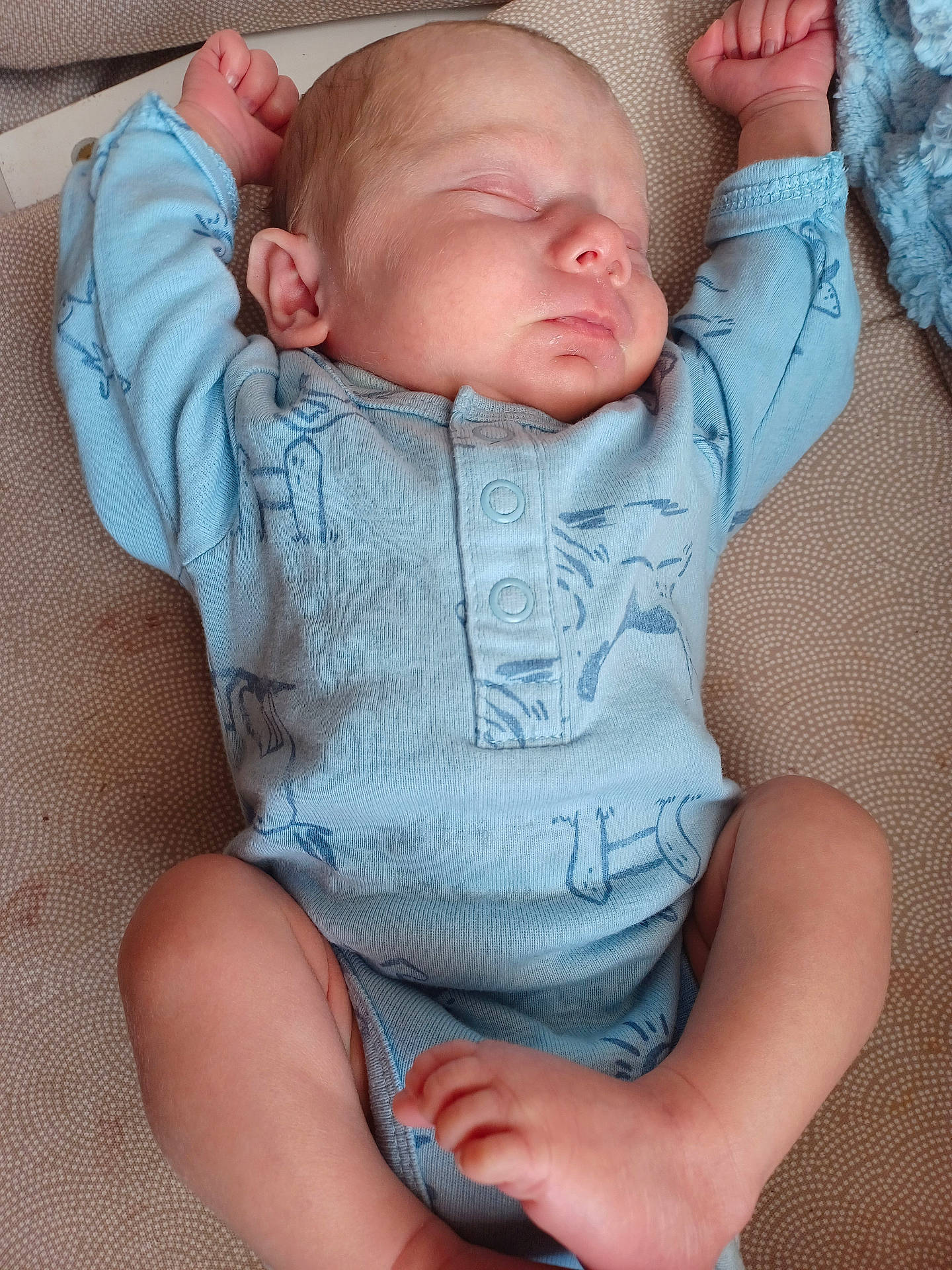 Isaac is registered to the contest to win money with this photo: arms_up, baby, barefoot, blue_onesie, child, comfortable, cute, fabric, face, indoors, infant, lying_down, newborn, patterned_clothing, peaceful, portrait, sleeping, small_feet, small_hands, soft_skin