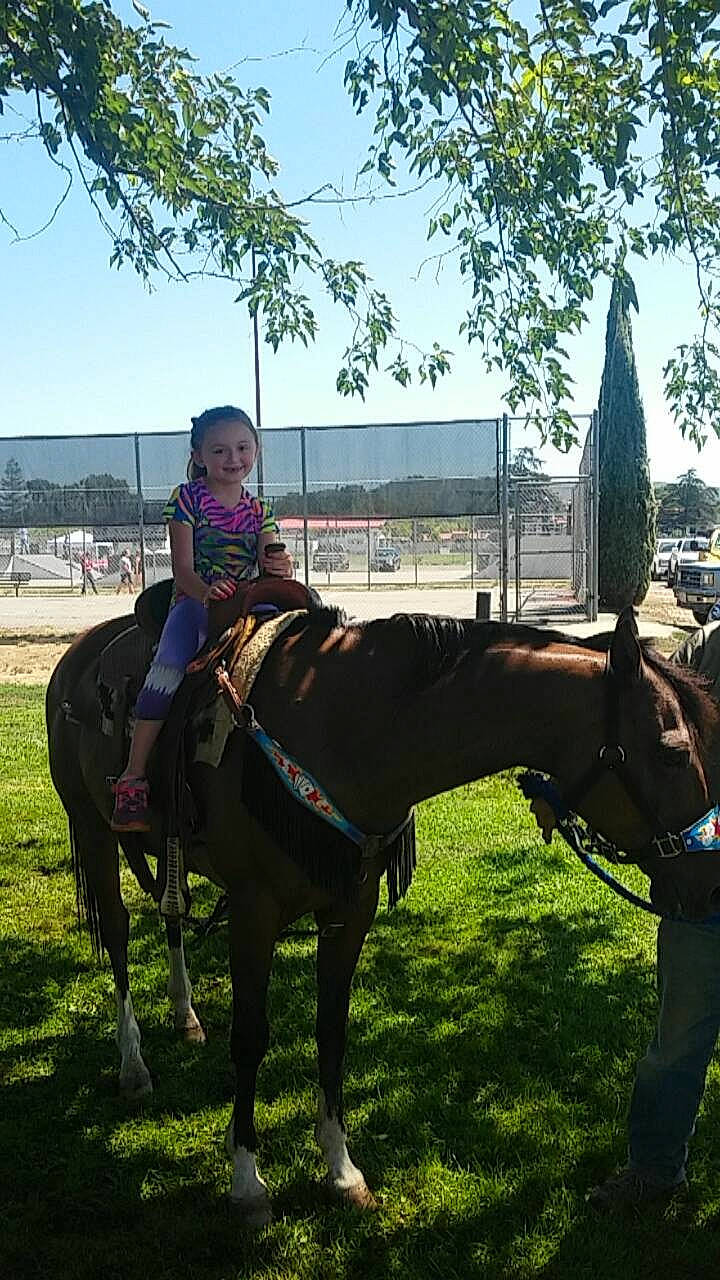 Kim joined the competition — help win amazing prizes! bit, bridle, halter, horse, horse_supplies, horse_tack, human, joy, leash, livestock, mammal, mane, mare, person, pet_supply, rein, saddle, stallion, vertebrate, working_animal