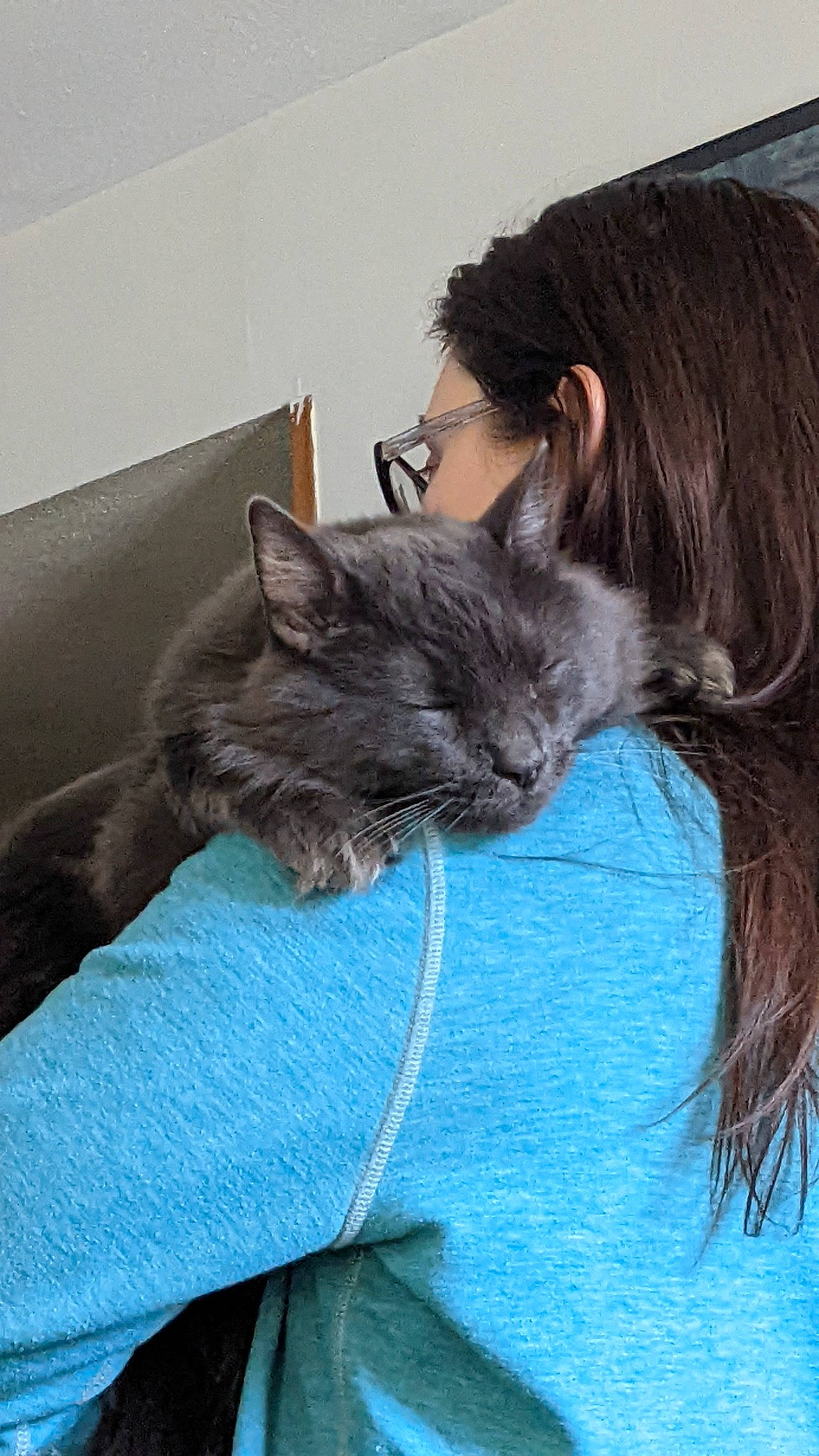 Murphy is registered to the contest to win money with this photo: black_cat, carnivore, cat, claw, comfort, couch, domestic_short_haired_cat, ear, electric_blue, eyewear, felidae, fur, gesture, lap, nap, sitting, small_to_medium_sized_cats, snout, whiskers