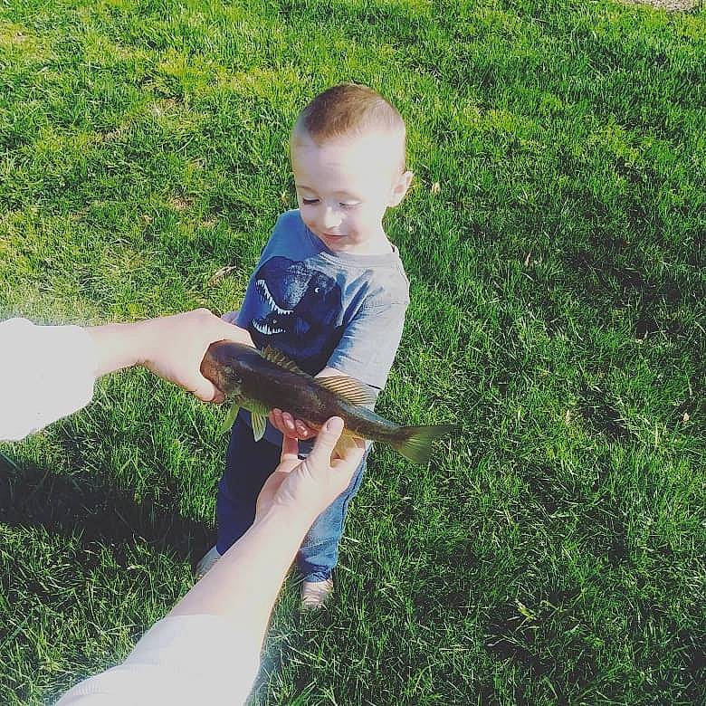 James Dean is registered to the contest to win money with this photo: child, grass, gun, hand, lawn, leaf, person, plant, play, summer, toddler