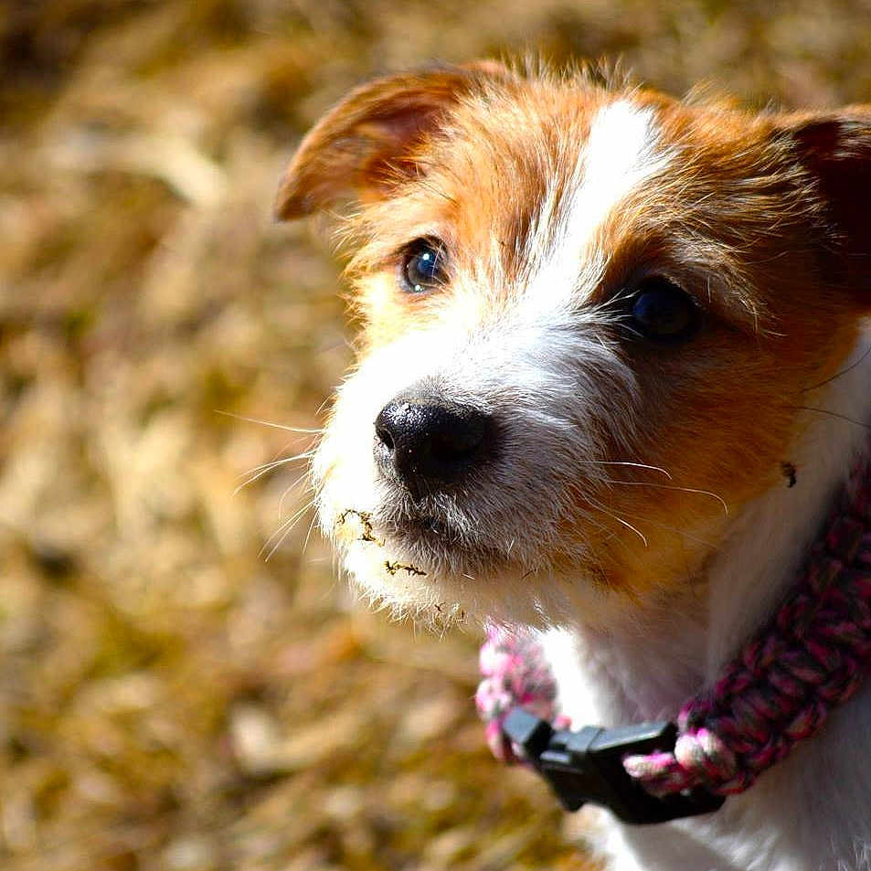 Ari The Jersey Girl is registered to the contest to win money with this photo: