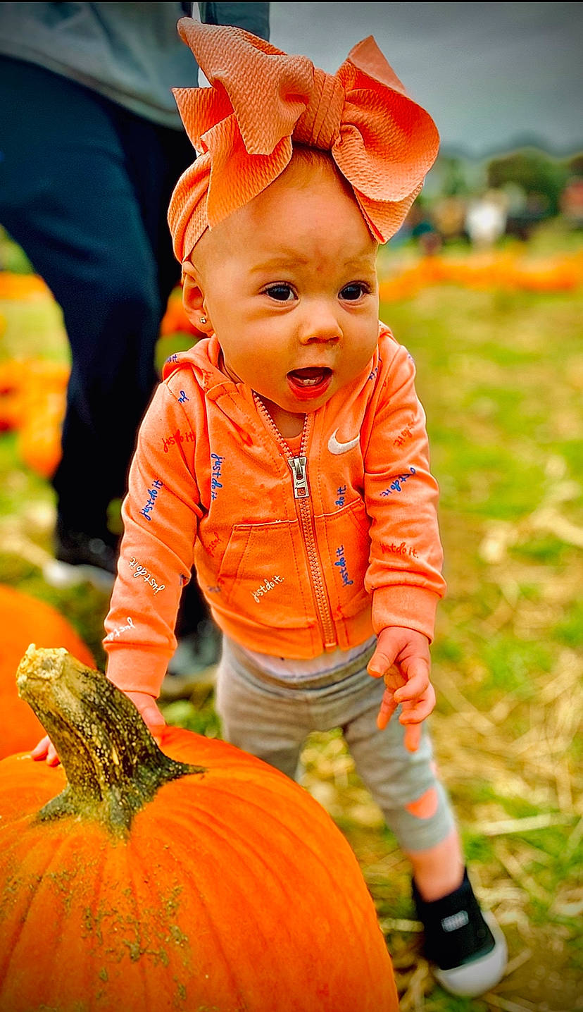 Lylah joined the competition — help win amazing prizes! baby, baby_toddler_clothing, calabaza, child, cucurbita, fun, gourd, grass, happy, local_food, mammal, natural_foods, orange, people_in_nature, person, plant, pumpkin, squash, surprise, toddler