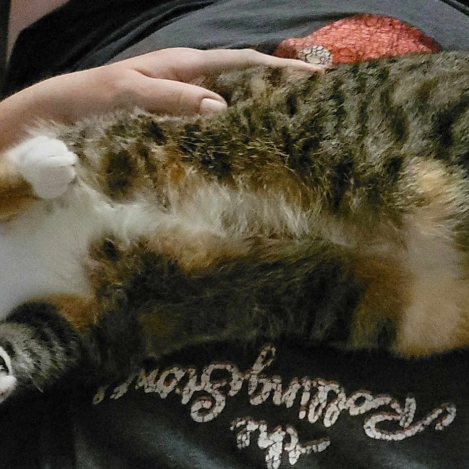 Turbie