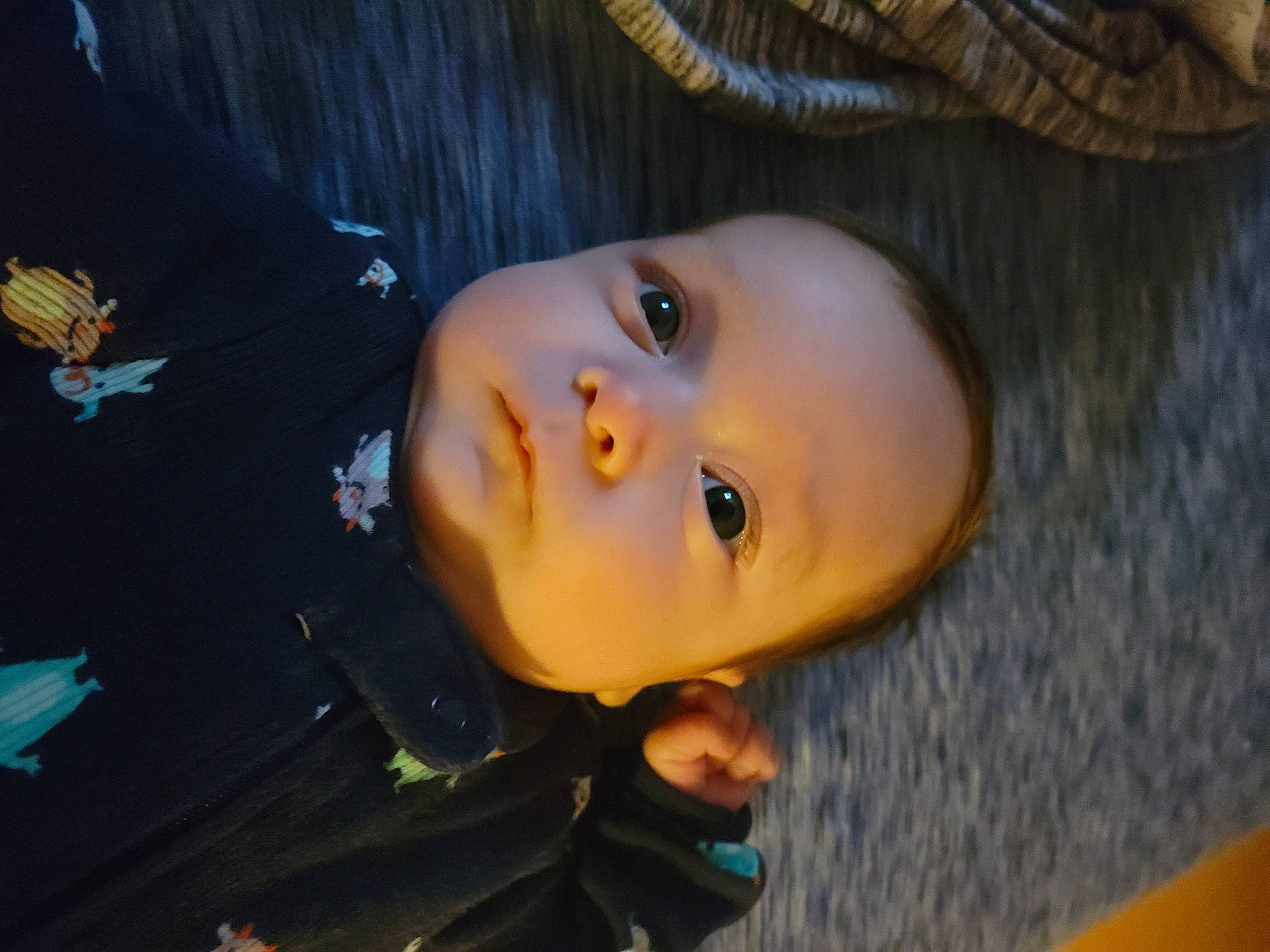 Christopher joined the competition — help win amazing prizes! black_hair, cheek, eyebrow, eyelash, flash_photography, forehead, fun, grass, happy, human_body, iris, lip, mouth, nose, person, skin, smile, space, toddler, tree