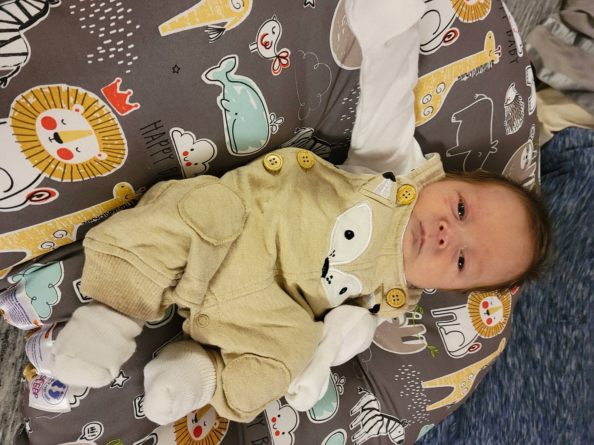 Christopher joined the competition — help win amazing prizes! art, baby, baby_products, baby_toddler_clothing, carmine, child, comfort, fur, happy, linens, pattern, person, room, sleeve, smile, textile, toddler