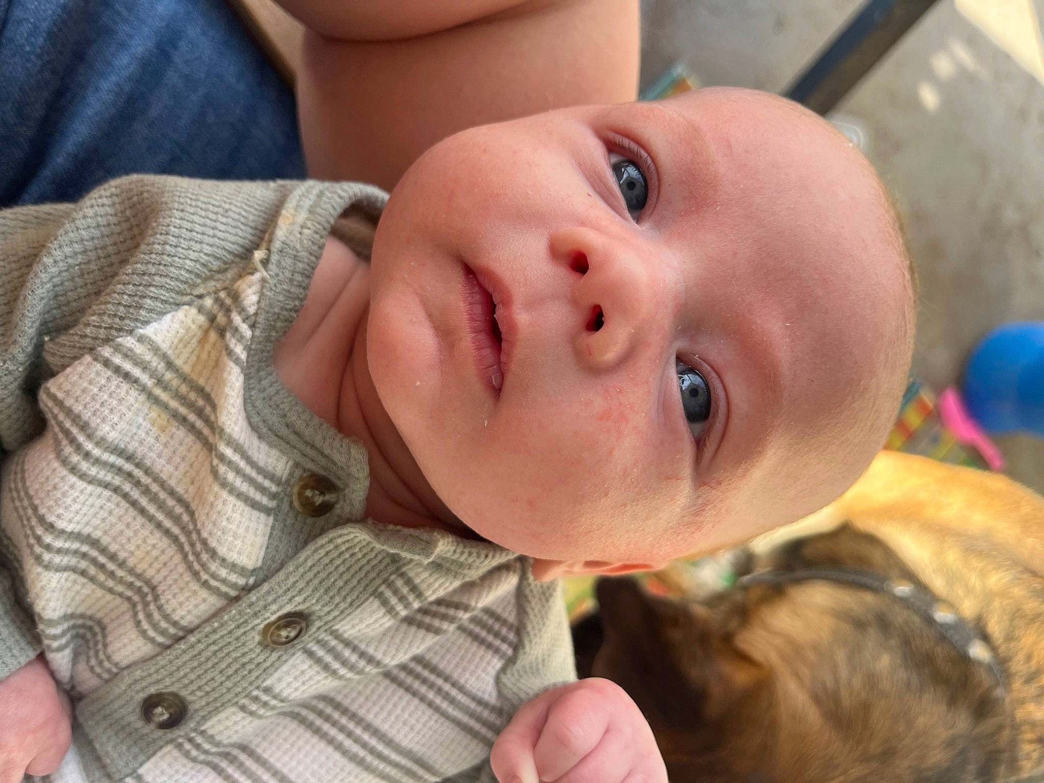 Luke joined the competition — help win amazing prizes! baby, baby_toddler_clothing, cheek, child, ear, eye, eyelash, fun, grass, happy, head, iris, lip, mouth, nail, nose, person, portrait_photography, skin, smile