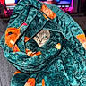 kitten, cat, blanket, cozy, wrapped, cute, pet, animal, indoor, furry, soft, colorful, texture, closeup, resting, comfort, playful, eyes, face, warm