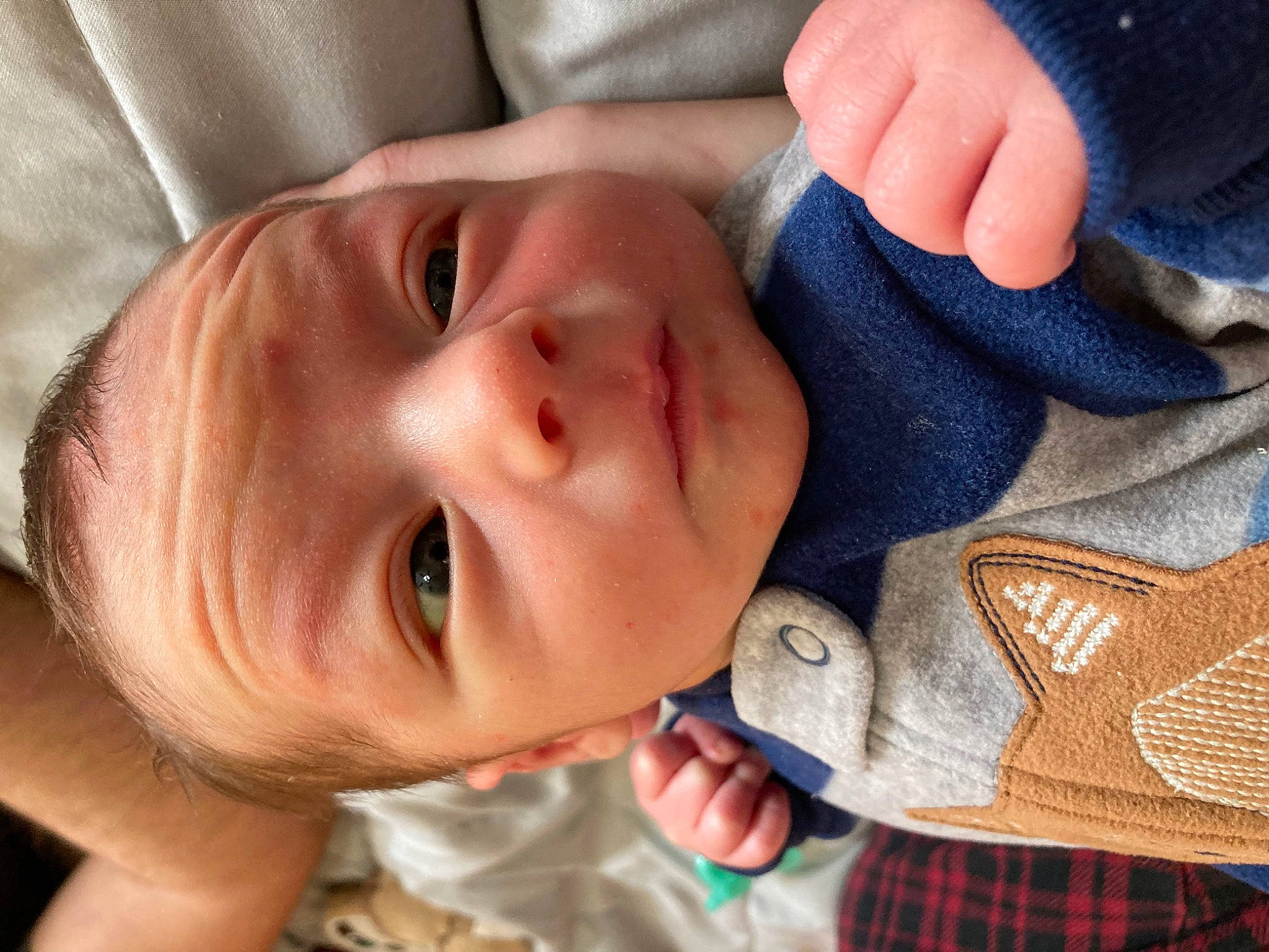 Koda is registered to the contest to win money with this photo: baby, baby_toddler_clothing, cheek, clothing, eye, eyebrow, eyelash, face, finger, gesture, happy, head, lip, mouth, nose, person, skin, sleeve, smile, tartan