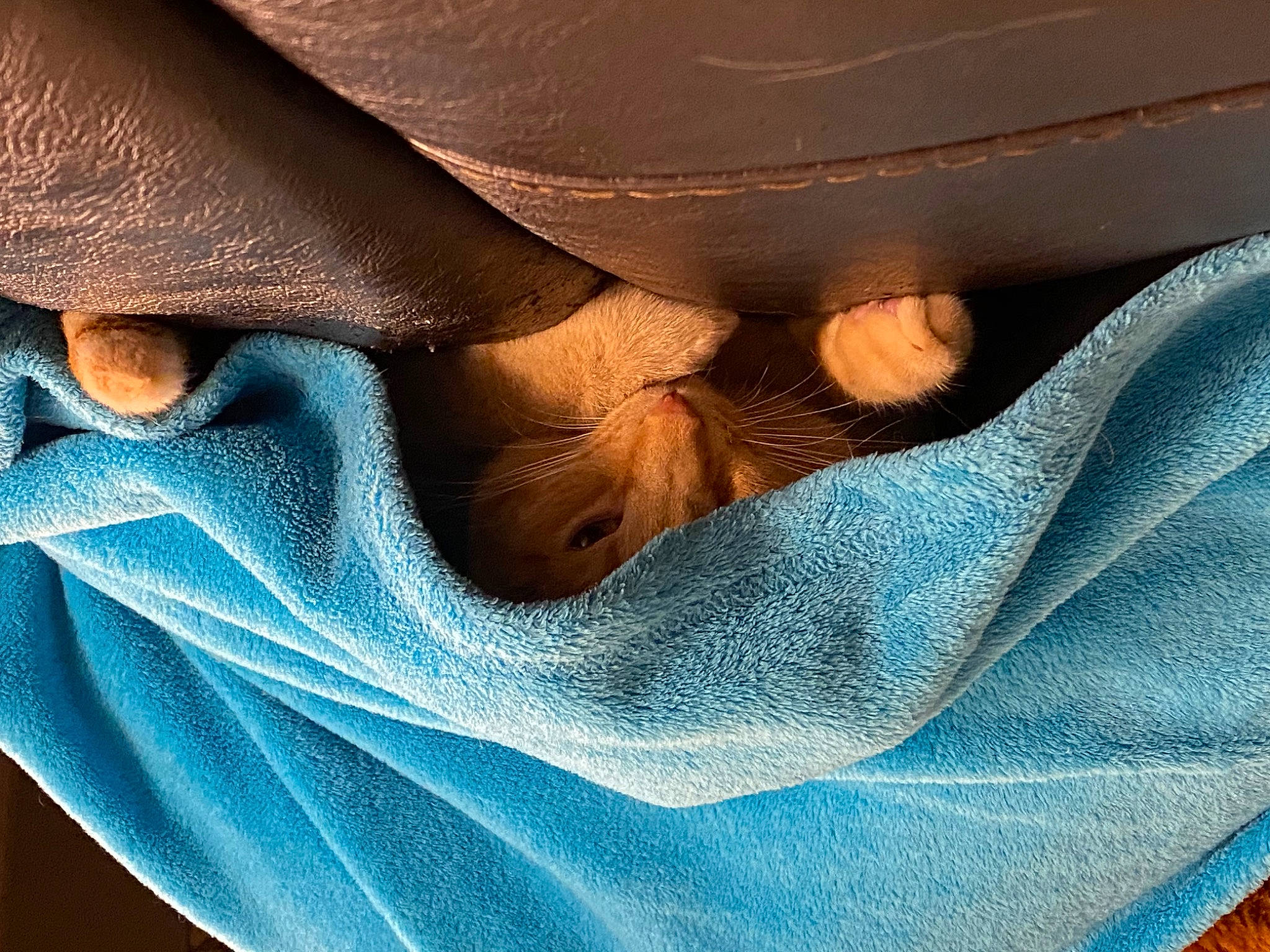 Maverick is registered to the contest to win money with this photo: close_up, comfort, denim, electric_blue, fashion_accessory, human_leg, linens, macro_photography, nail, pattern, peach, sleeve, tints_and_shades, wood, wrinkle, wrist