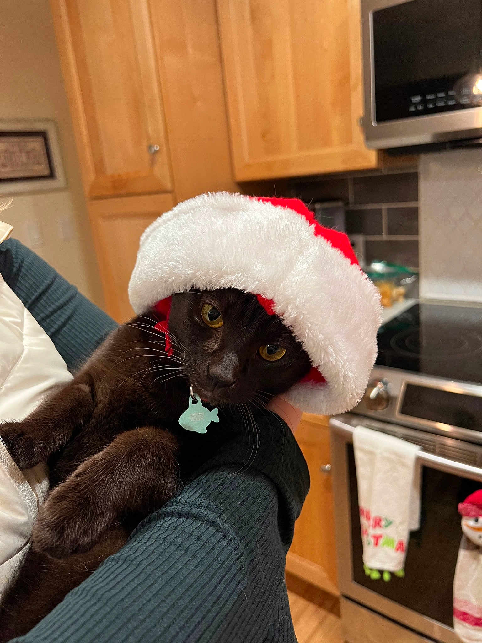 Figaro