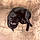 Binx