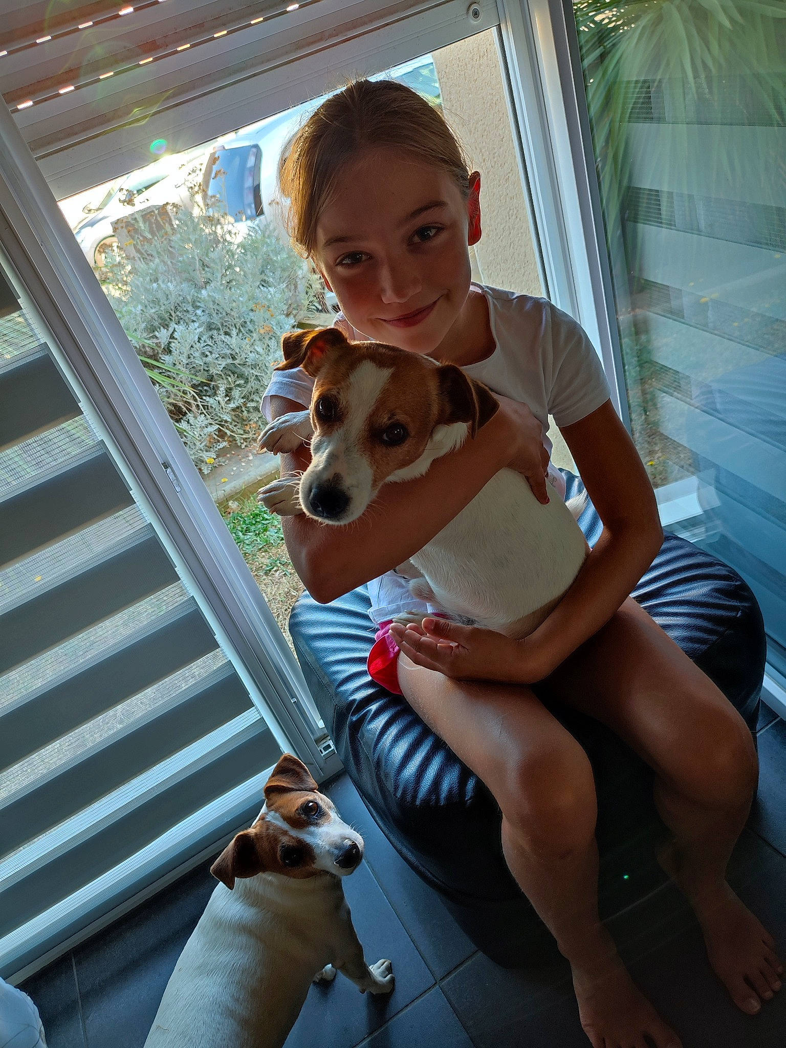 Loane a rejoint le concours — aidez-le/la à gagner de superbes lots ! arm, carnivore, comfort, companion_dog, dog, dog_breed, eyewear, fawn, hand, happy, human_leg, joy, knee, lap, leg, mammal, person, sandal, shoe, smile