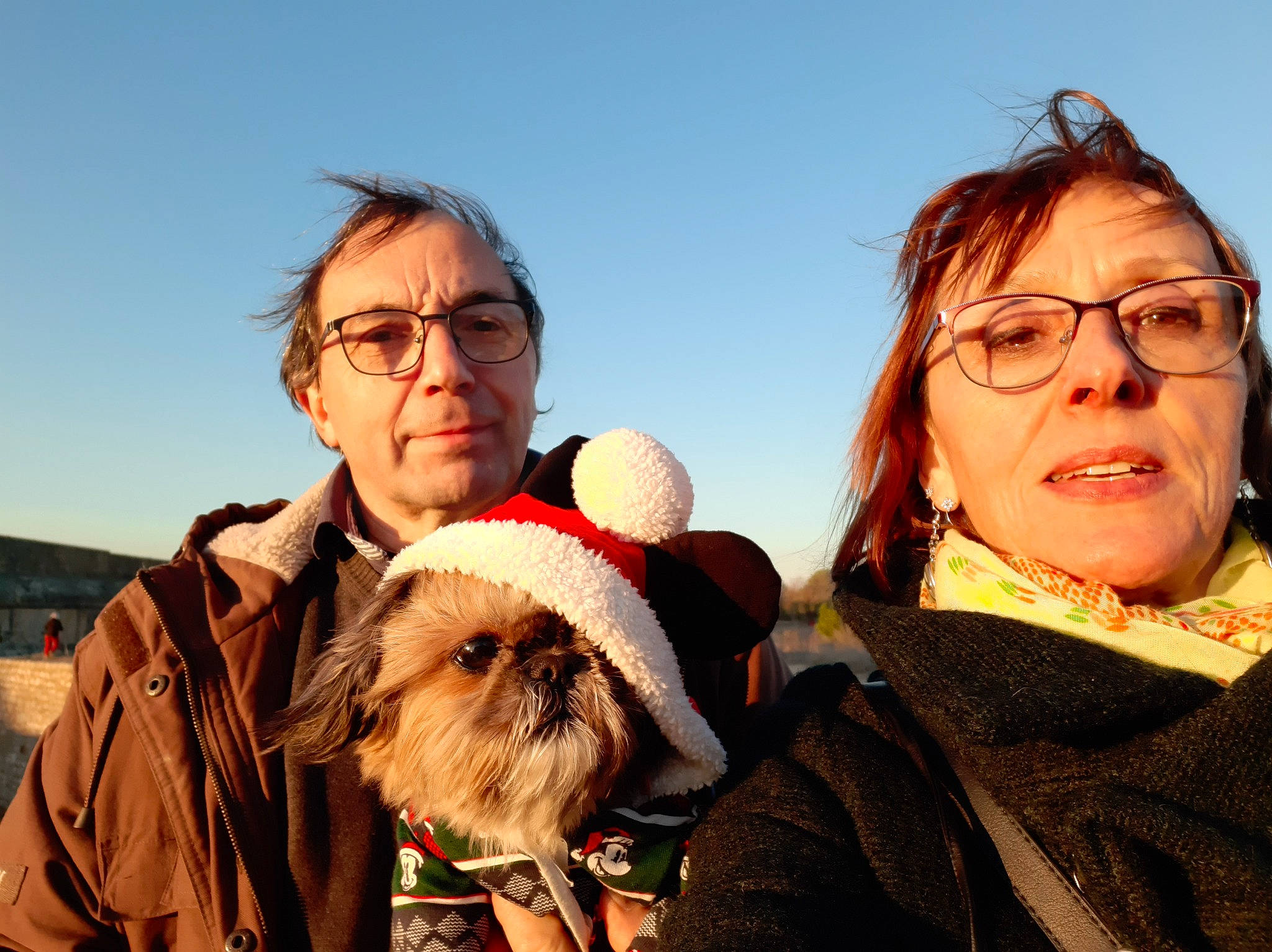 Choupette a rejoint le concours — aidez-le/la à gagner de superbes lots ! carnivore, companion_dog, dog, dog_breed, eye, eyewear, face, fawn, gesture, glasses, hair, happy, head, interaction, skin, sky, sporting_group, toy_dog, travel, vision_care