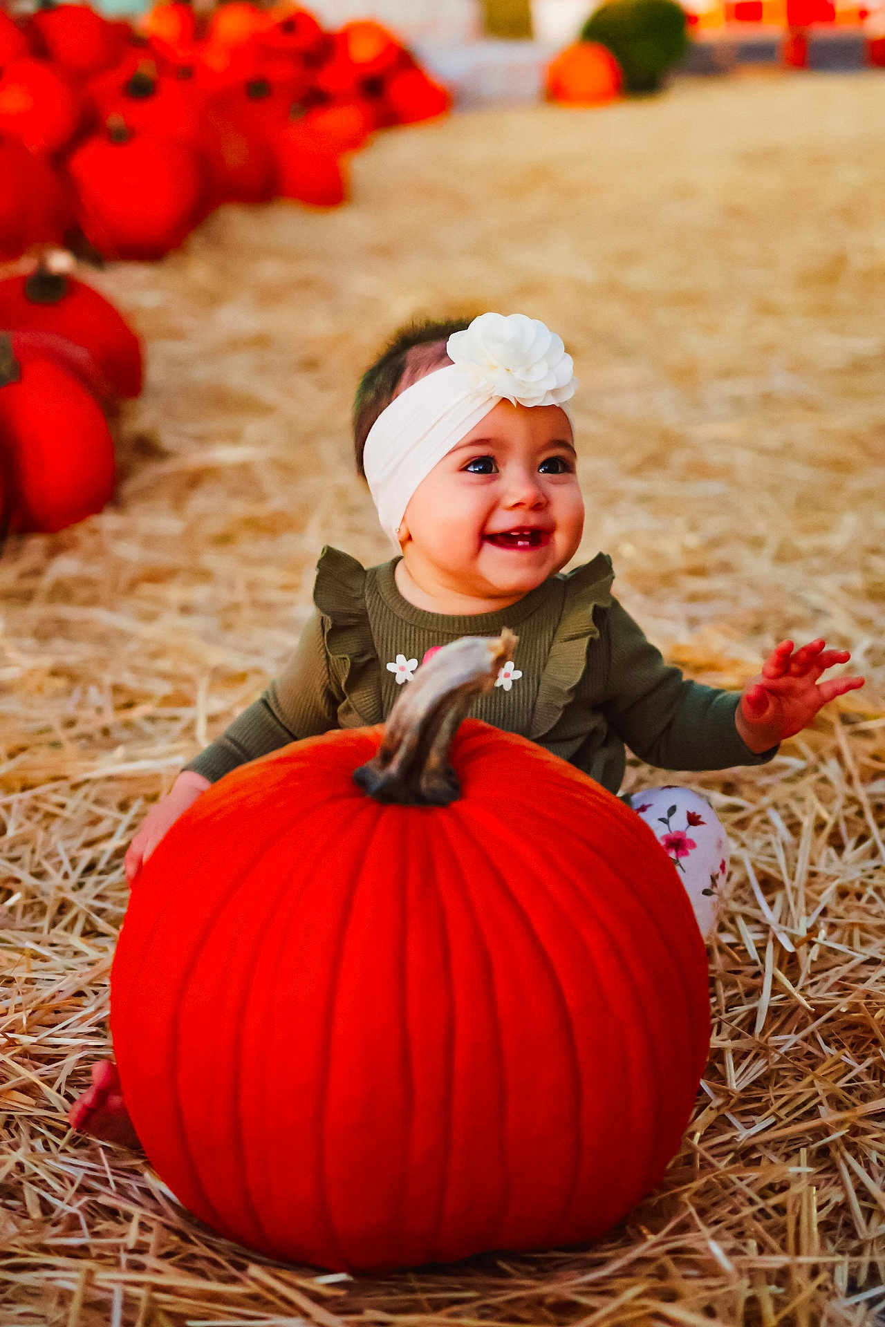 Ellie joined the competition — help win amazing prizes! baby, child, pumpkin, headband, flower, smiling, straw, fall, autumn, orange, cute, sitting, outdoor, harvest, holiday, seasonal, happy, person, portrait, festival