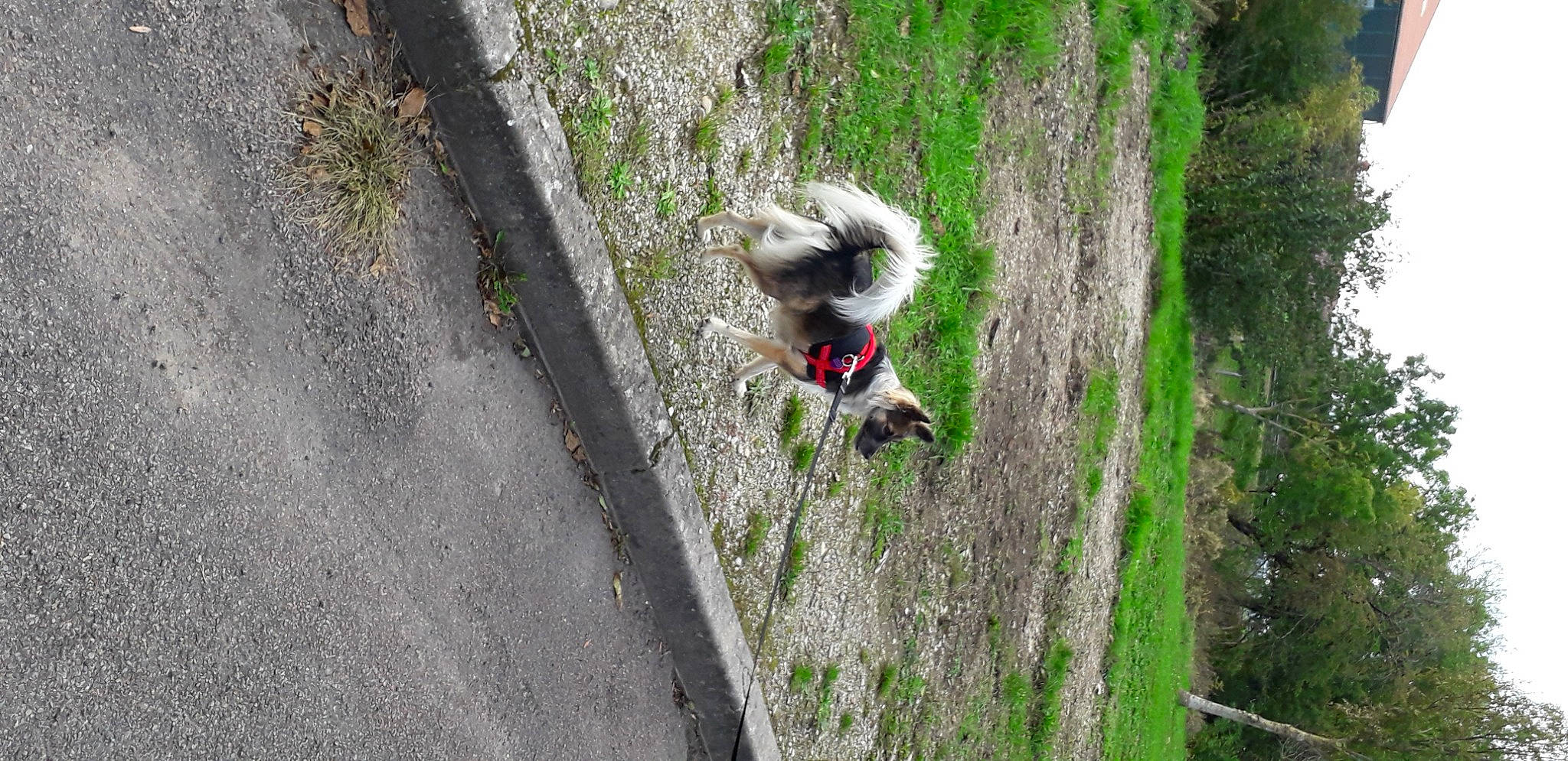 Miny participe au concours pour gagner de l'argent avec cette photo : adventure, recreation