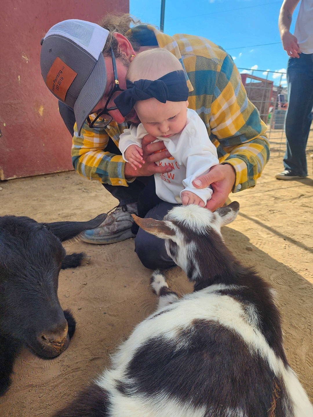 Tilly is registered to the contest to win money with this photo: canidae, dog_breed, fun, grass, hat, landscape, leg, leisure, livestock, mammal, person, photograph, shoe, shorts, sky, snapshot, sporting_group, terrestrial_animal, toddler, vertebrate