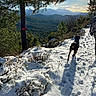 Orsu participe au concours pour gagner de l'argent avec cette photo : dog, person, snow, mountains, trees, pine_tree, footprints, winter, outdoor, nature, hiking, trail, sky, sunlight, landscape, forest, walking, shadow, cold, scenery