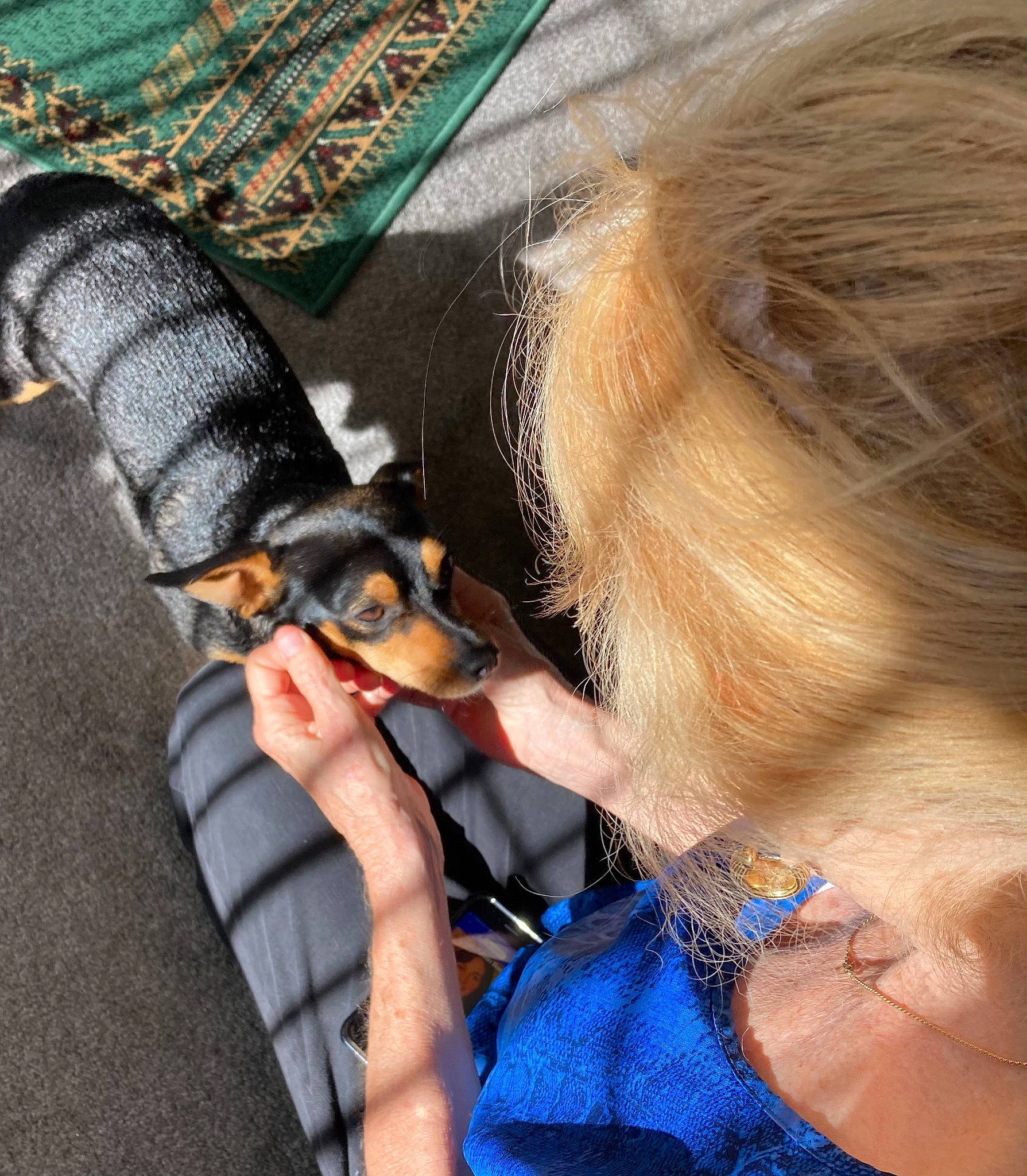 Marley is registered to the contest to win money with this photo: audio_equipment, canidae, carnivore, companion_dog, dog, dog_breed, electric_blue, eyelash, eyewear, fashion_accessory, fawn, hair, jewellery, long_hair, nail, skin, sporting_group, sunglasses, toy_dog, wrist