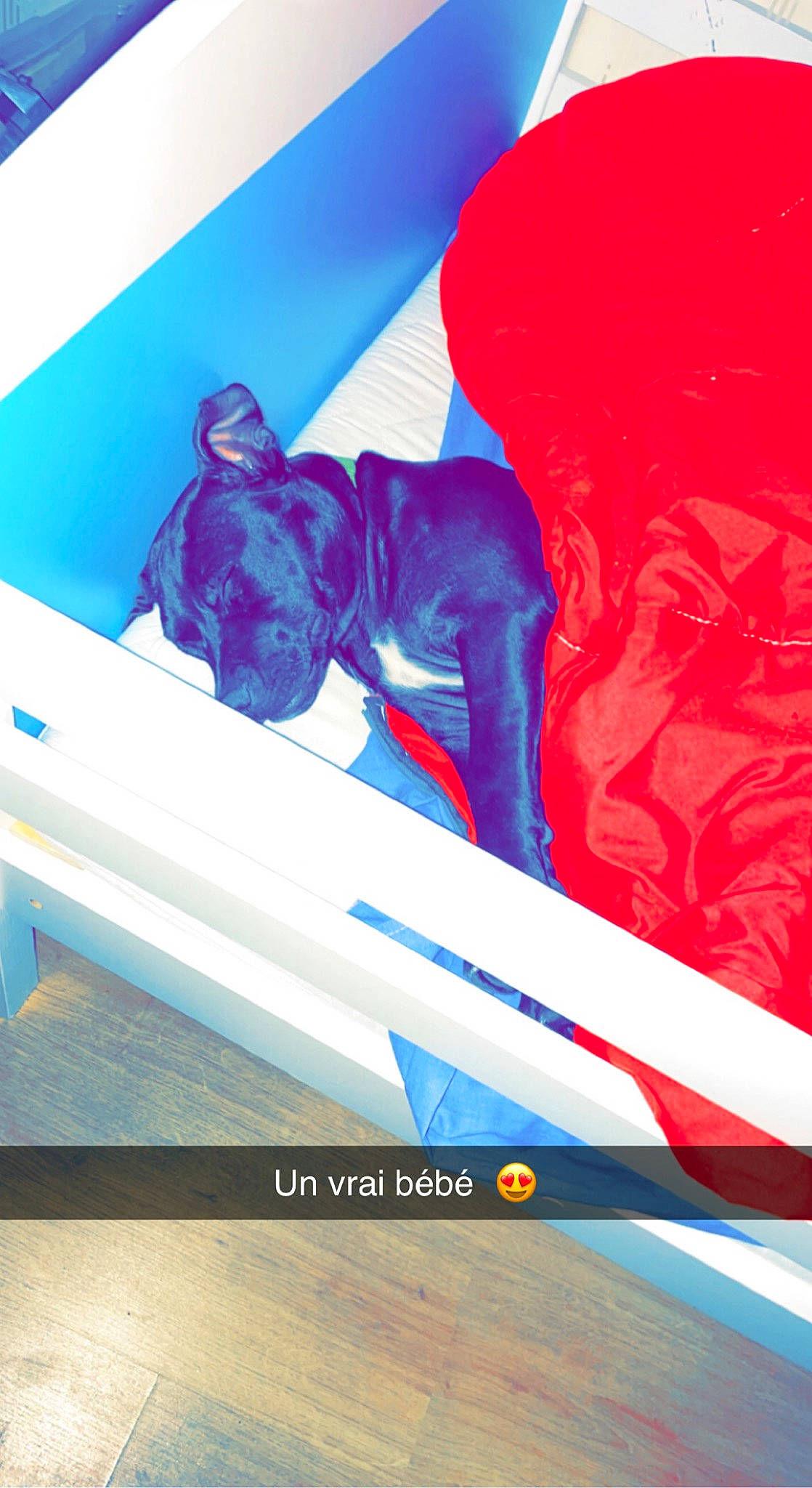 Tyna participe au concours pour gagner de l'argent avec cette photo : art, automotive_design, azure, carmine, electric_blue, fictional_character, font, fun, graphics, graphics_software, leisure, magenta, paper_product, pattern, personal_protective_equipment, plastic, rectangle, screenshot, visual_arts, wing