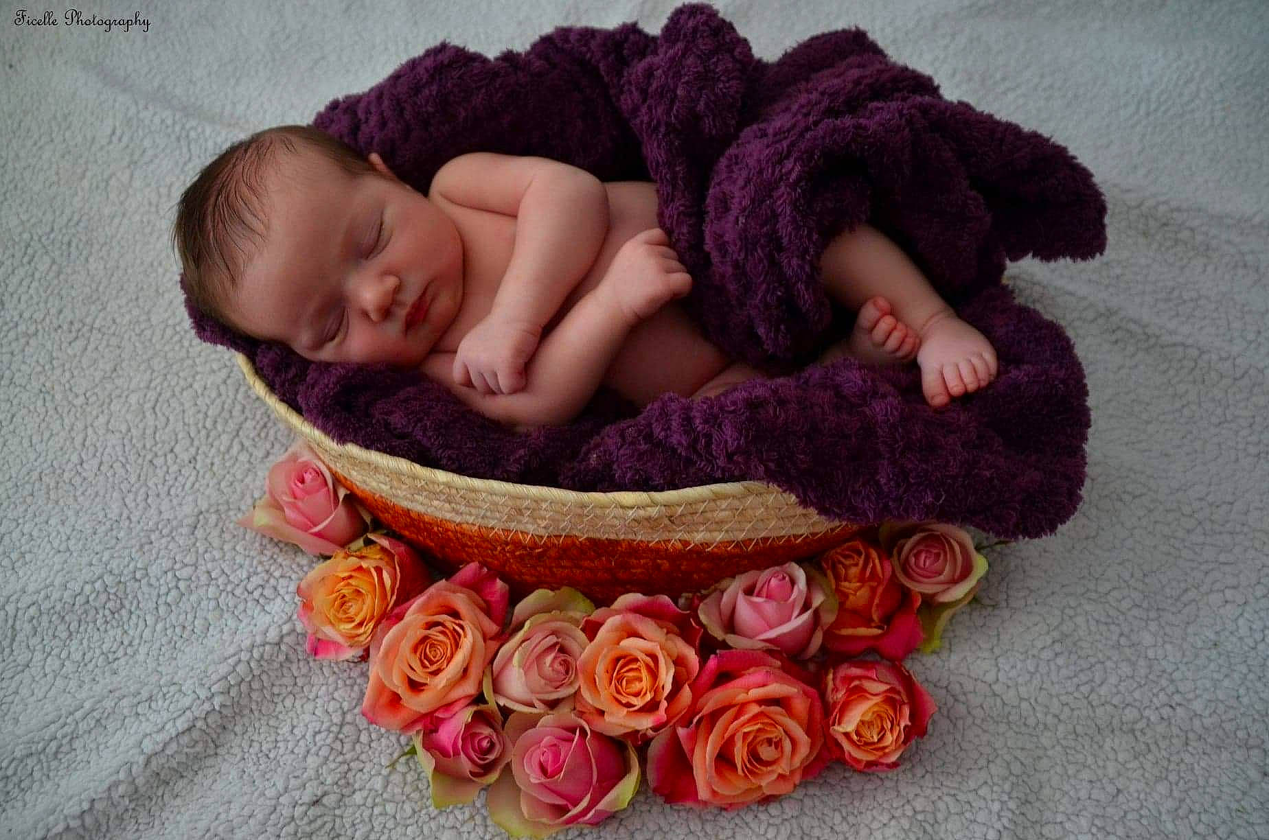 Octavia participe au concours pour gagner de l'argent avec cette photo : baby, baby_sleeping, beanie, brown, child, crochet, flower, fur, hair_accessory, headgear, knitting, person, photography, pink, plant, product, purple, rose, sleep, toddler