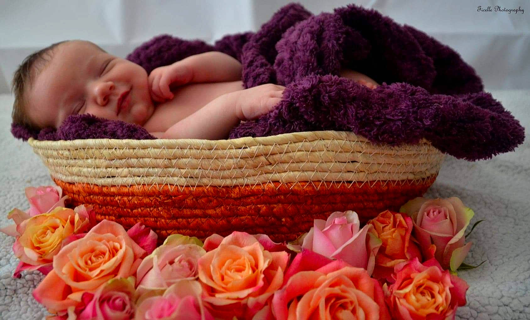 Octavia participe au concours pour gagner de l'argent avec cette photo : art, baby, baby_products, baby_sleeping, child, crochet, flower, fur, headgear, knitting, person, photography, pink, plant, product, rose, sleep, textile, toddler, wool