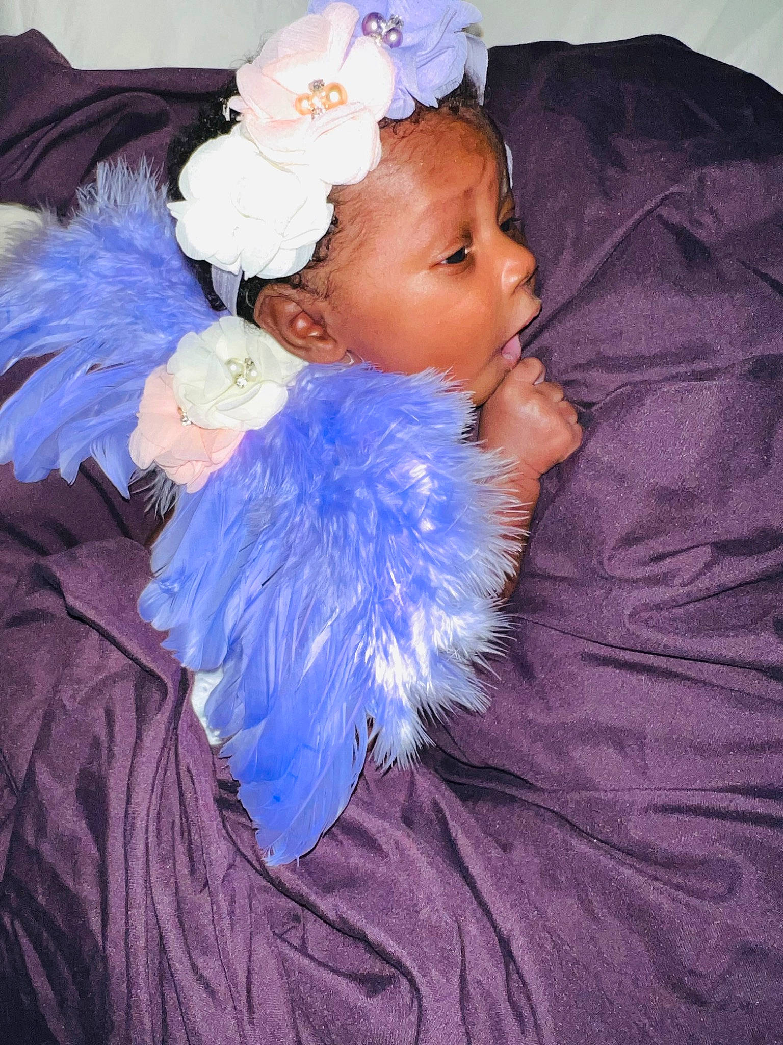 Knalah joined the competition — help win amazing prizes! animal_product, baby_toddler_clothing, child, electric_blue, event, eye, feather, flash_photography, flower, hair_accessory, hat, headband, headgear, headpiece, iris, natural_material, person, petal, purple, textile
