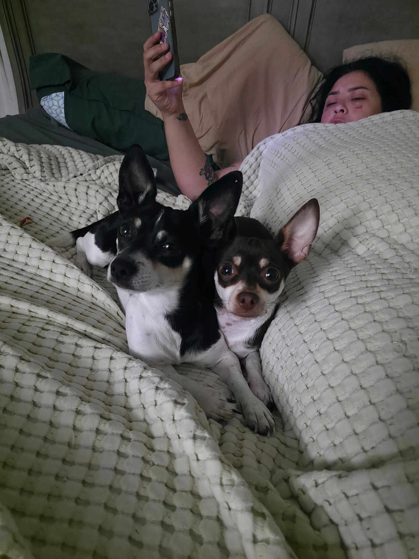 Lady May N Pistachio