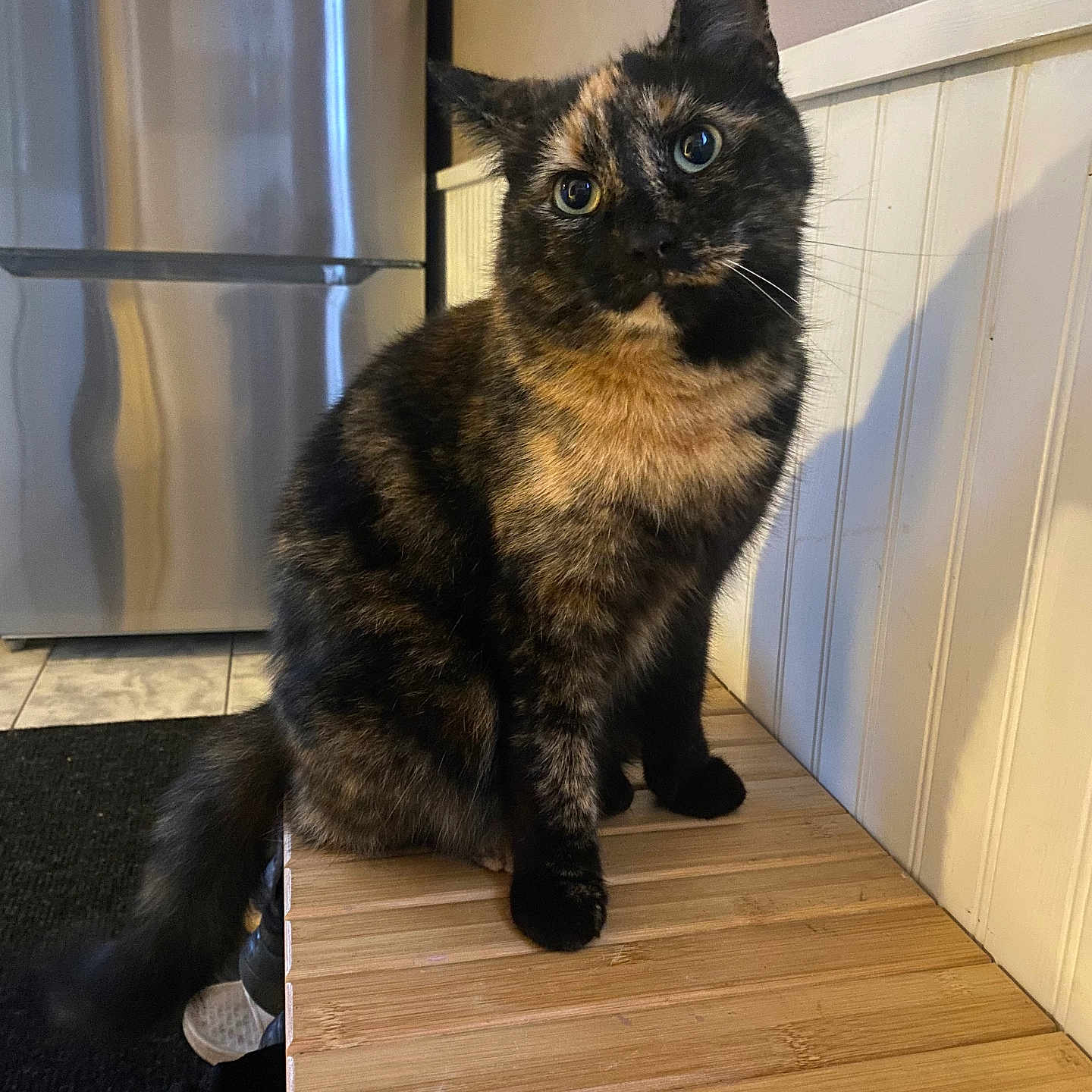 Furball
