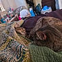 bedding, bedroom, blanket, cat, comfort, cozy, cute, domestic_animal, feline, fur, household, indoor, nap, pattern, pet, quilts, relaxation, resting, sleeping, tabby