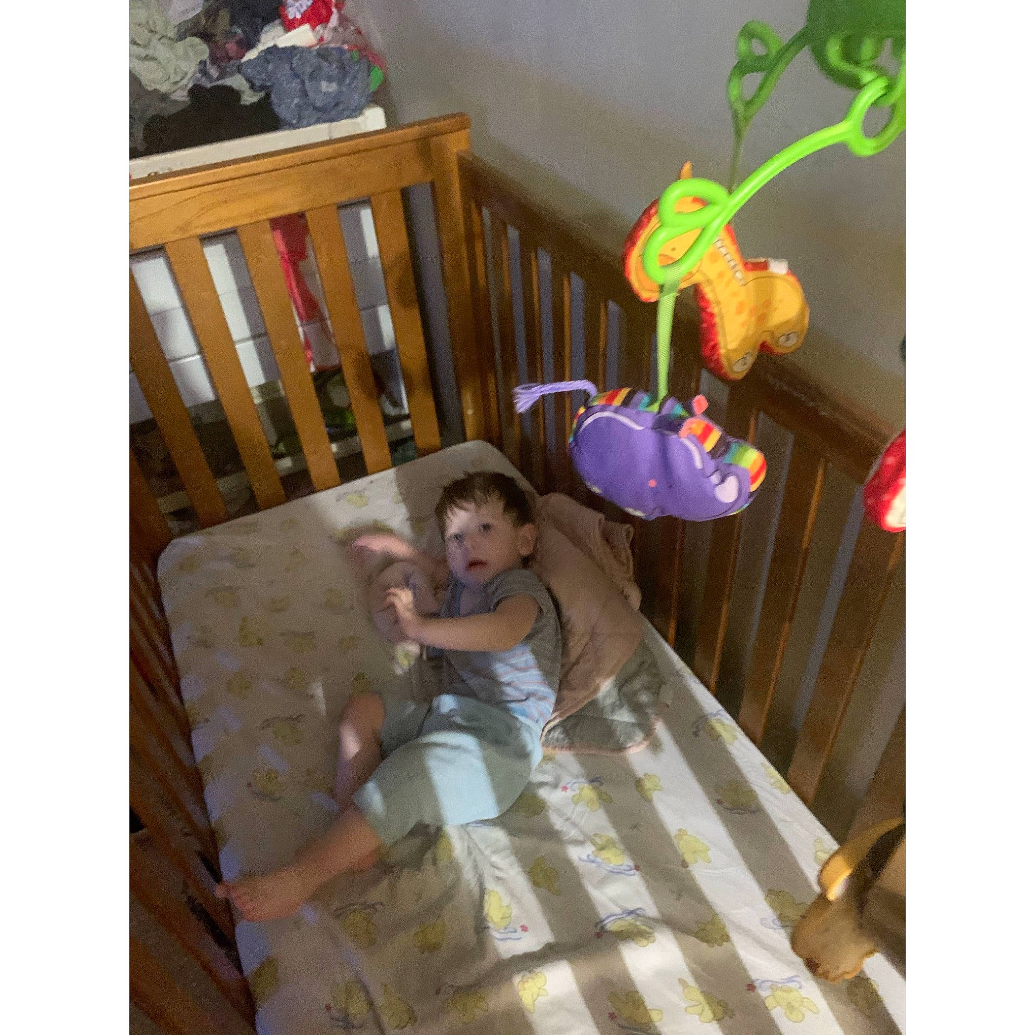 Enzo joined the competition — help win amazing prizes! baby_products, baby_safety, baby_toys, child, floor, furniture, infant_bed, person, play, product, room, toy