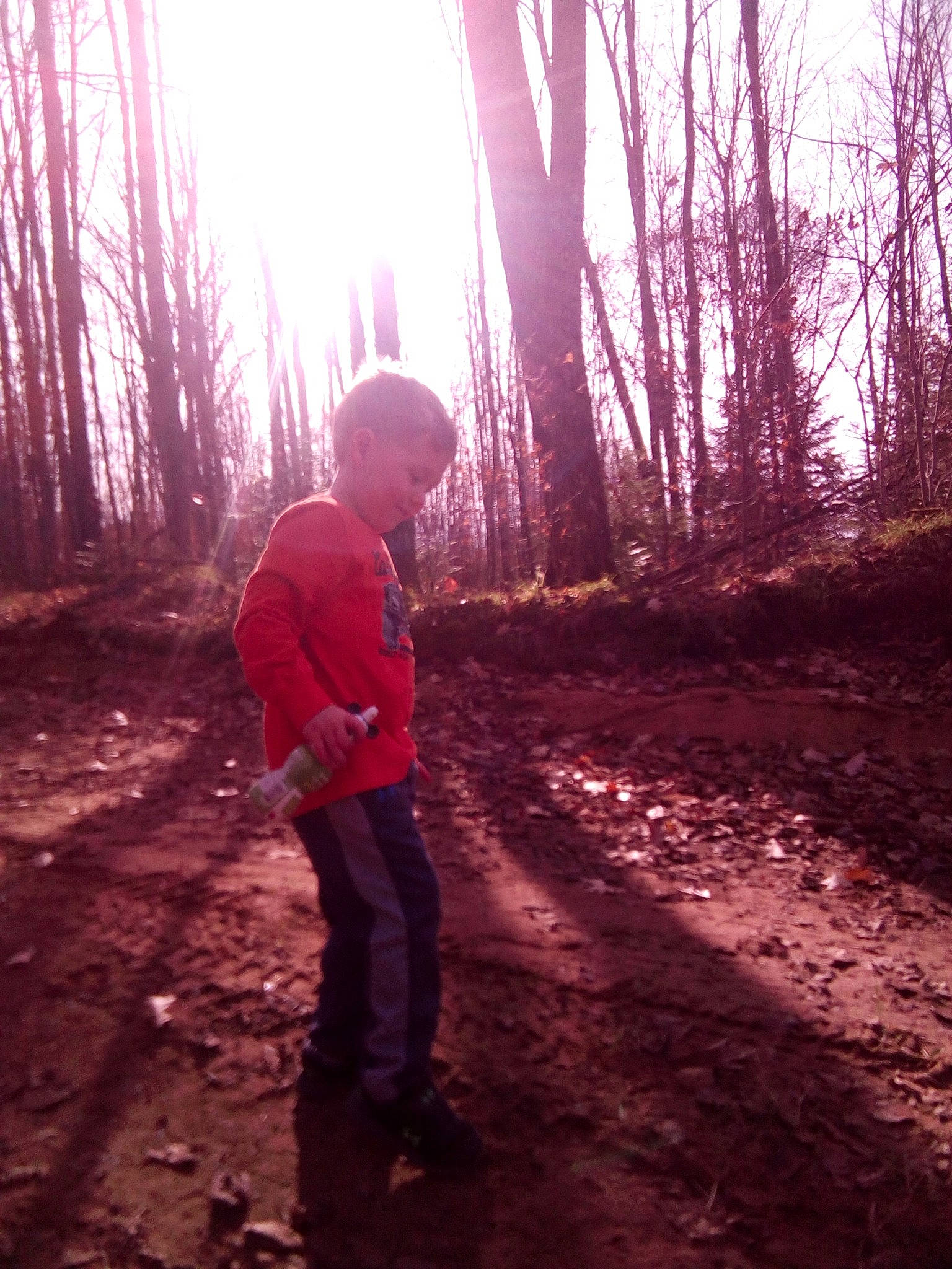 Michael James joined the competition — help win amazing prizes! biome, branch, deciduous, forest, grass, landscape, lens_flare, natural_environment, natural_landscape, people_in_nature, person, plant, recreation, sky, standing, tints_and_shades, tree, trunk, wood, woodland