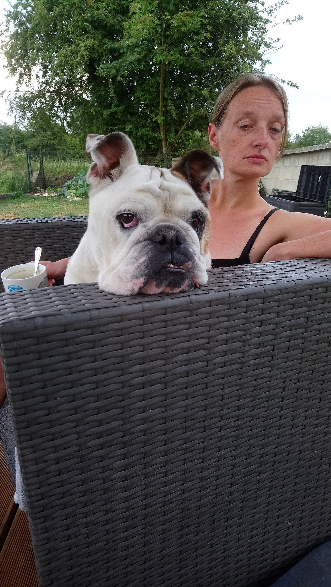 éliot participe au concours pour gagner de l'argent avec cette photo : american_bulldog, boston_terrier, bulldog, carnivoran, dog, dog_breed, dog_breed_group, dog_like_mammal, mammal, non_sporting_group, old_english_bulldog, olde_english_bulldogge, person, snout, vertebrate