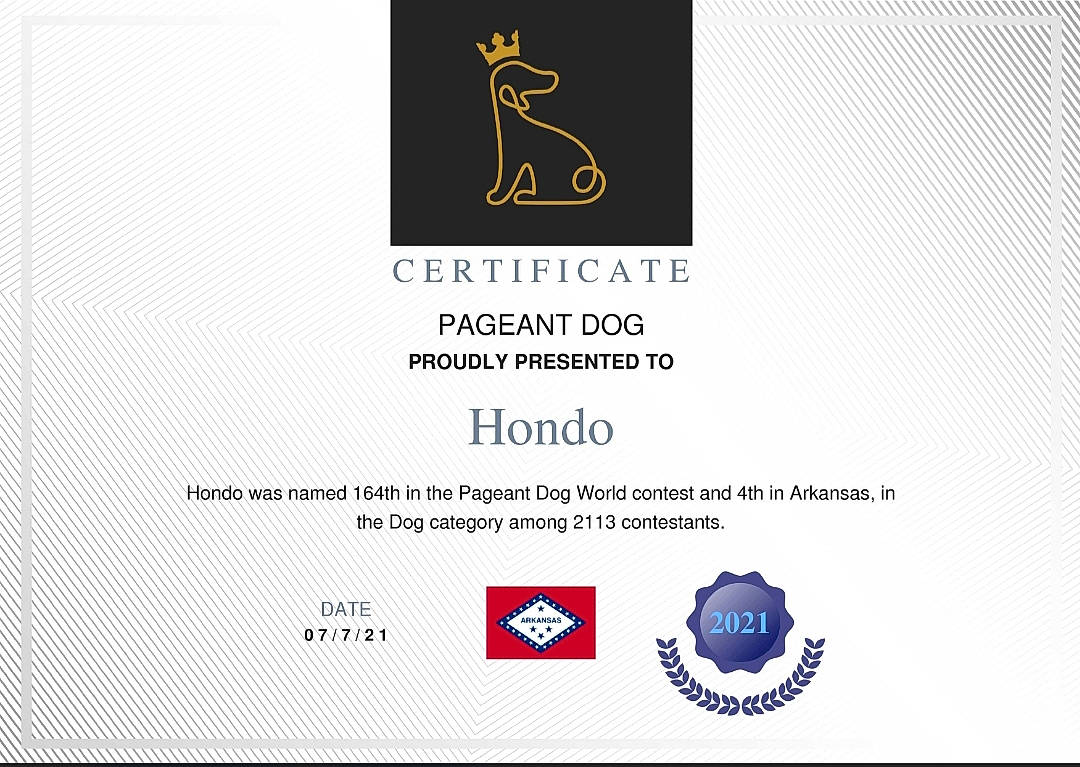 Hondo joined the competition — help win amazing prizes! book, brand, circle, electric_blue, event, font, graphic_design, graphics, label, logo, parallel, pattern, publication, rectangle