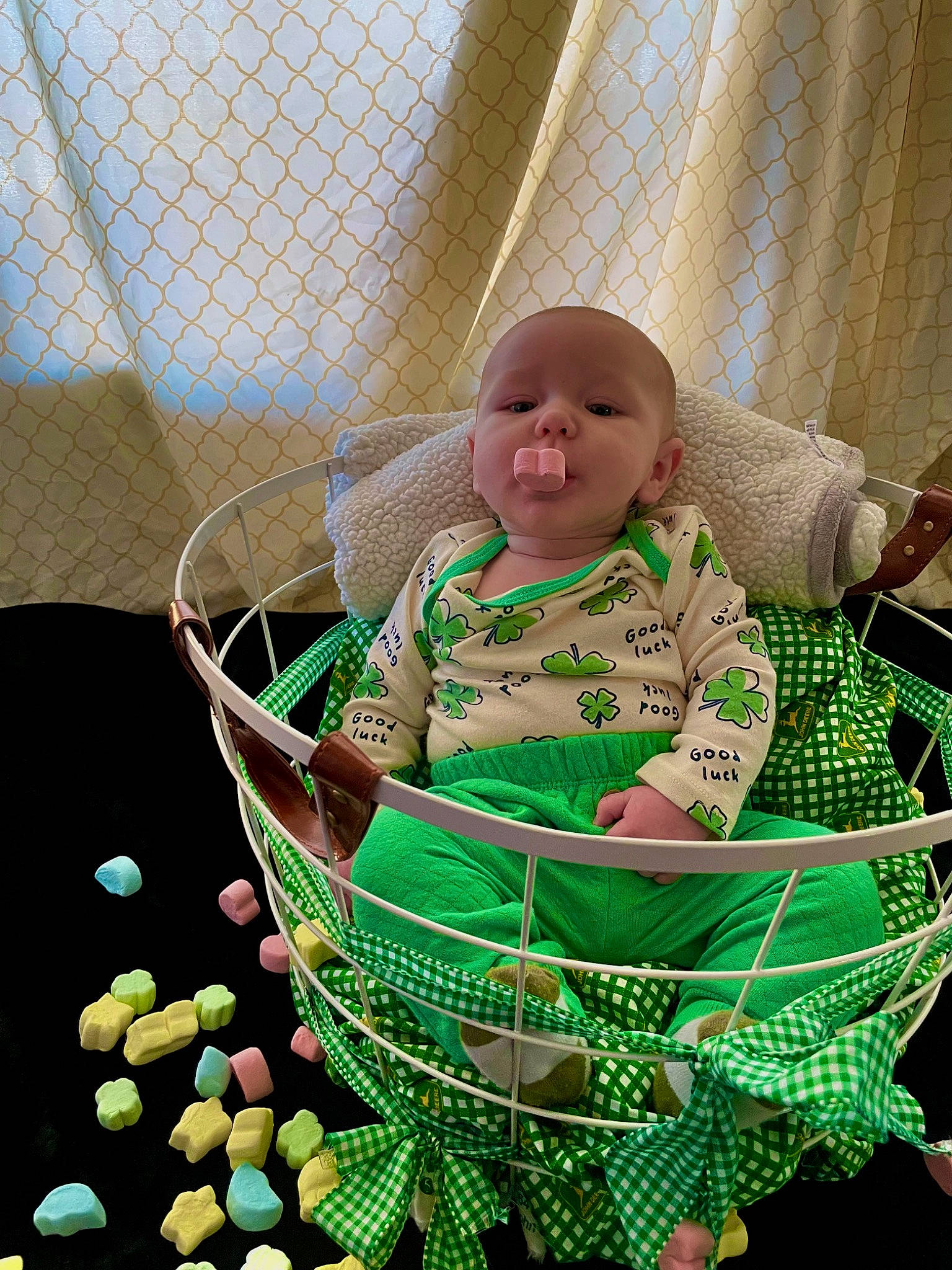 Archer joined the competition — help win amazing prizes! baby, baby_products, baby_safety, baby_toddler_clothing, basket, child, circle, comfort, event, face, fun, grass, happy, infant_bed, mesh, pattern, person, sitting, smile, terrestrial_plant