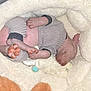Brillo is registered to the contest to win money with this photo: arm, baby, baby_products, baby_sleeping, bedtime, child, comfort, eye, finger, foot, head, human_body, infant_bed, leg, linens, nail, skin, thumb, toddler, vertebrate