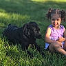 child, girl, dog, grass, outdoor, sunlight, pigtails, purple_shirt, sneakers, pet, friendship, smiling, happy, nature, summer, playing, sitting, animal, cute, young