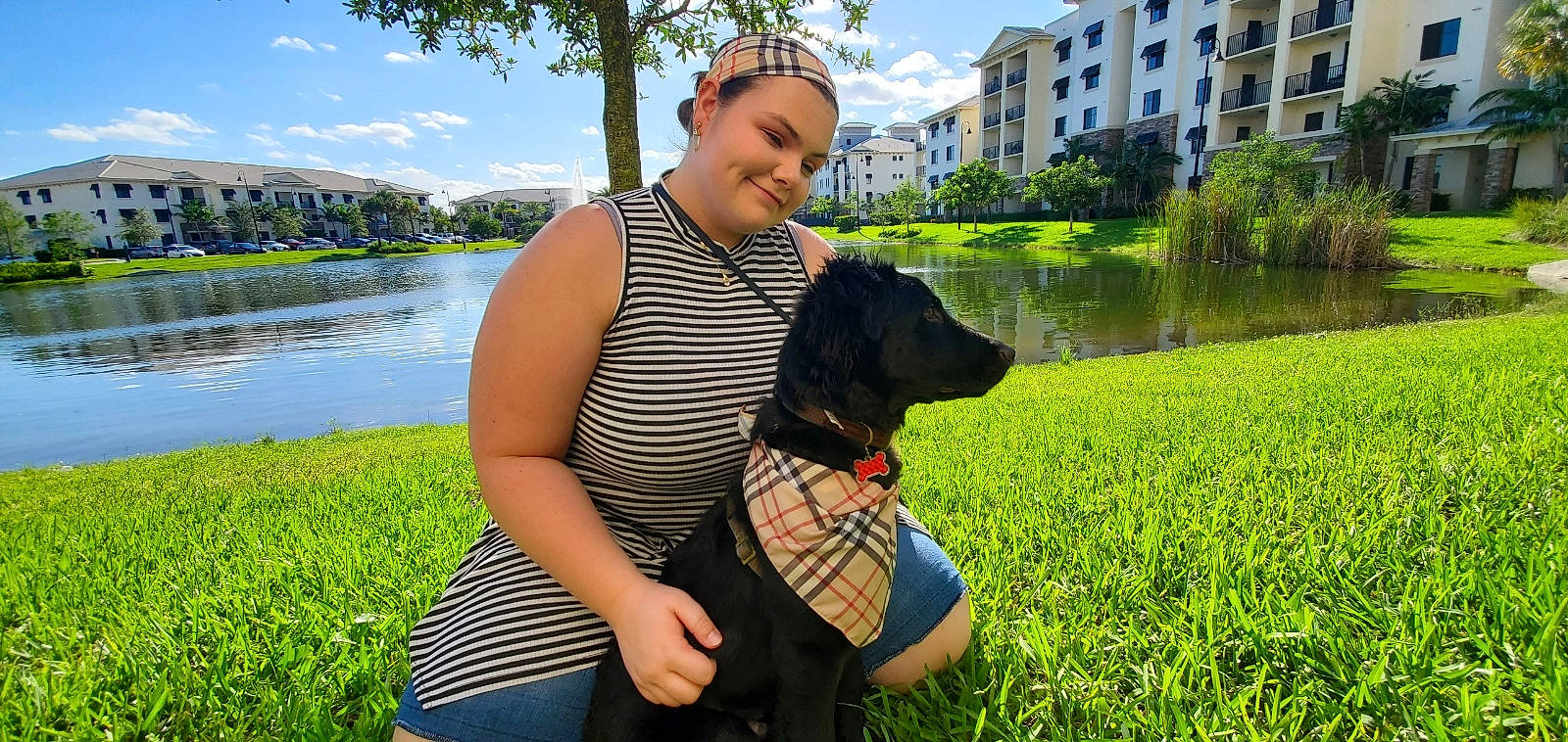 Noche joined the competition — help win amazing prizes! canidae, carnivore, companion_dog, dog, dog_breed, grass, guard_dog, hunting_dog, leisure, sporting_group