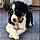 Sadie