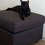 black_cat, cat, feline, pet, animal, indoor, furniture, ottoman, cushion, gray, resting, relaxed, domestic_cat, floor, minimalist, wall, home, yellow_eyes, laying_down, quiet