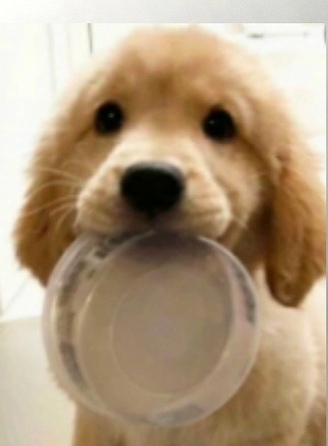 Winnie