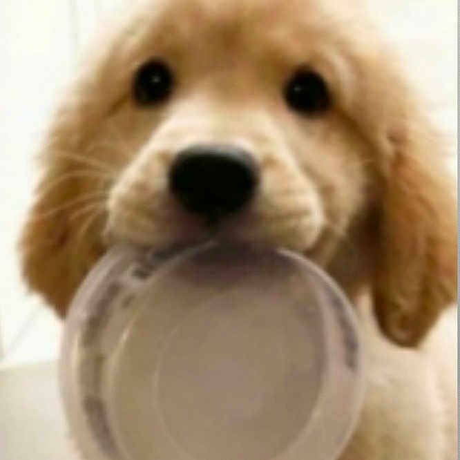 Winnie