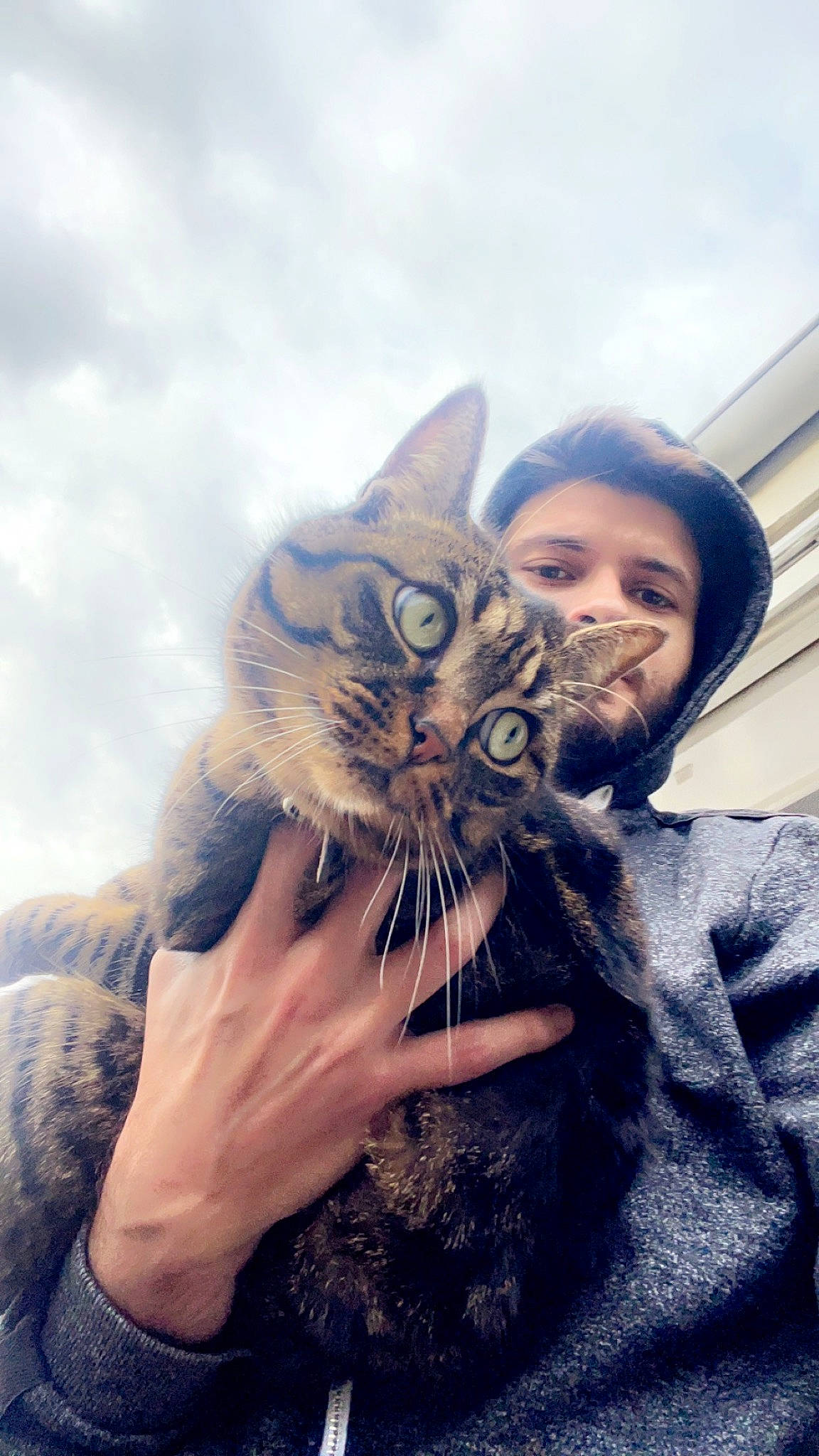 Smocky a rejoint le concours — aidez-le/la à gagner de superbes lots ! beard, carnivore, cat, eye, eyewear, facial_hair, feather, felidae, finger, fun, fur, gesture, happy, moustache, selfie, sky, small_to_medium_sized_cats, snout, vision_care, whiskers