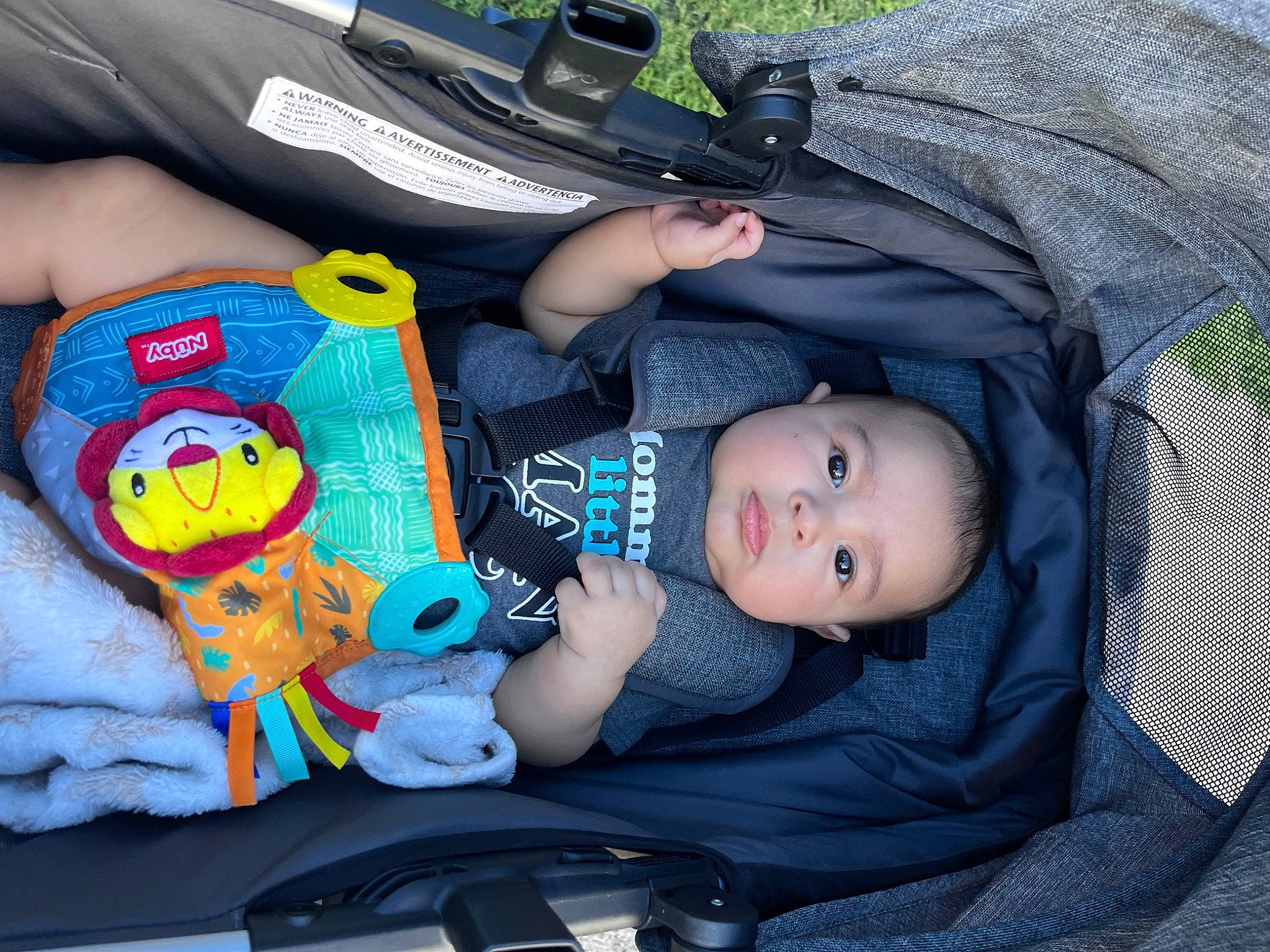 Luis joined the competition — help win amazing prizes! baby, baby_carriage, baby_products, baby_safety, baby_toddler_clothing, bag, car_seat, cheek, child, comfort, doll, electric_blue, lap, person, sitting, stuffed_toy, toddler, toy, wrist