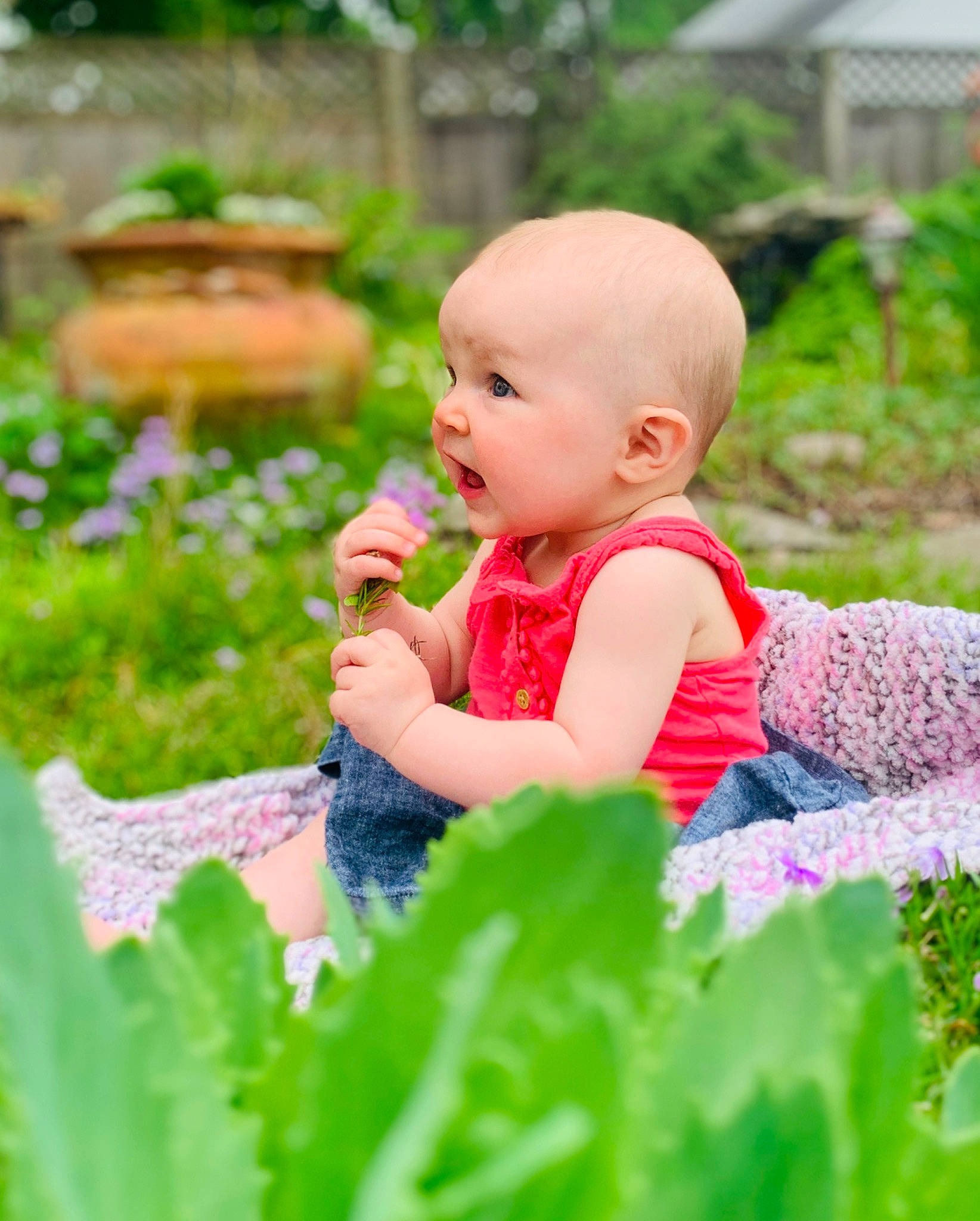 Bonnie joined the competition — help win amazing prizes! baby, botany, child, finger, flower, garden, grass, green, happy, leaf, leisure, person, plant, play, skin, smile, summer, toddler