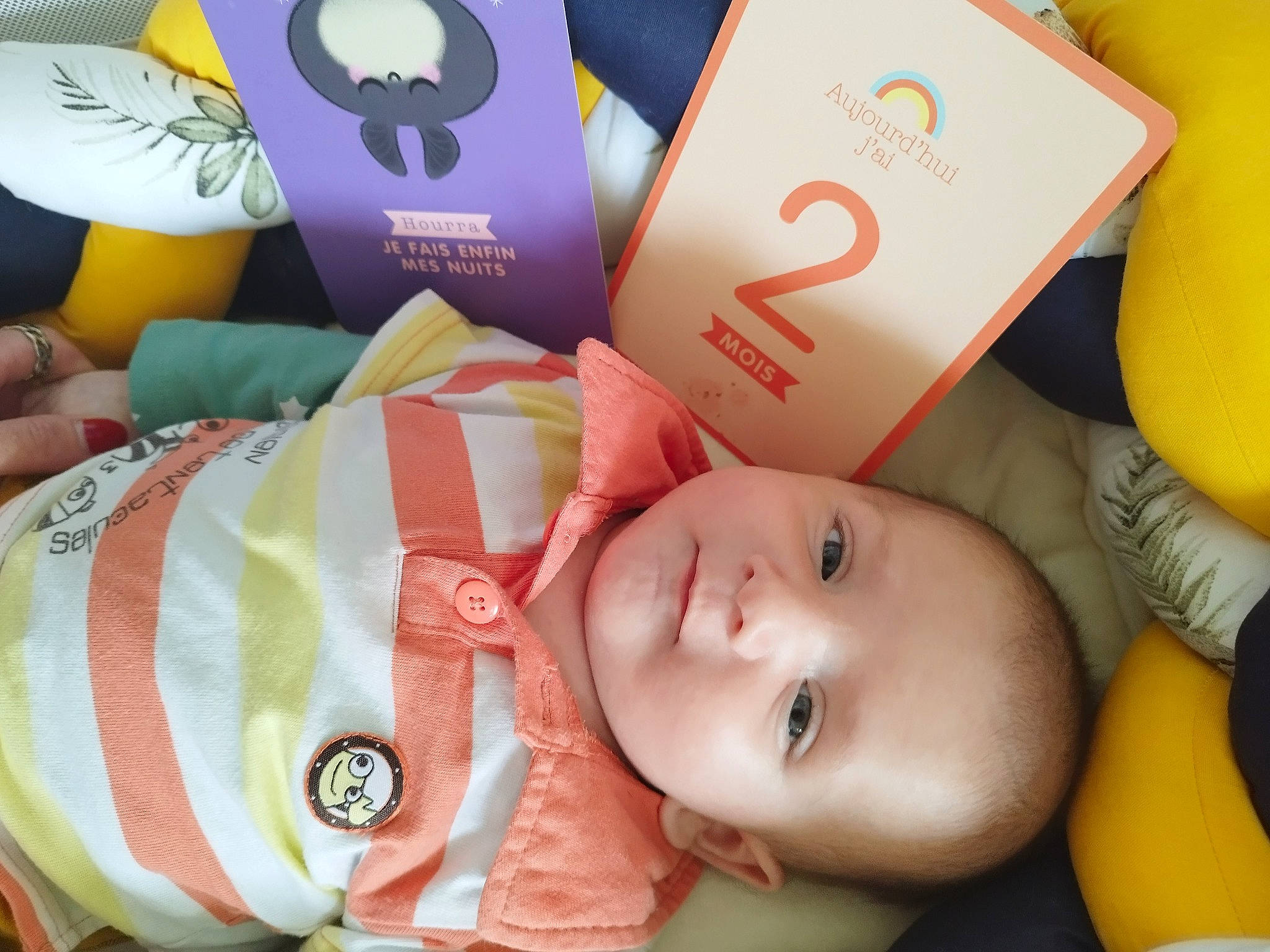 Charly participe au concours pour gagner de l'argent avec cette photo : baby, baby_products, baby_safety, baby_toddler_clothing, baby_toys, box, carton, cheek, child, comfort, fun, happy, infant_bed, logo, packaging_and_labeling, person, room, skin, textile, toddler
